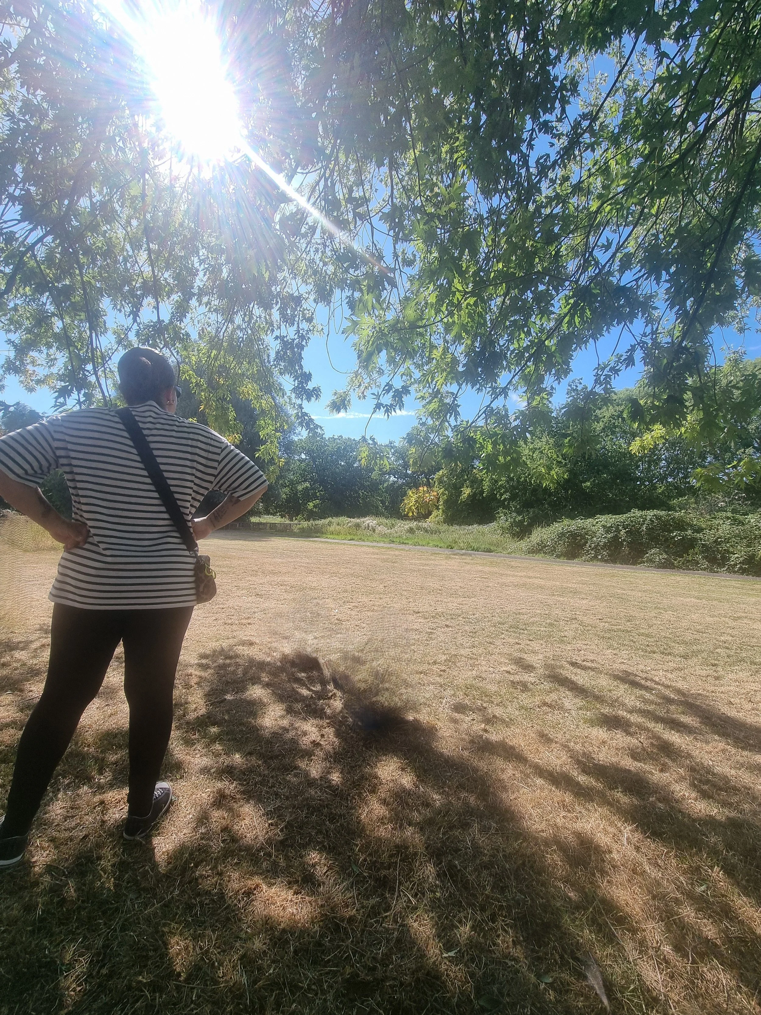A photograph shows a woman standing outdoors in an open field beneath leafy trees. Sunlight streams through the branches above, casting strong light and shadow across the dry grass.