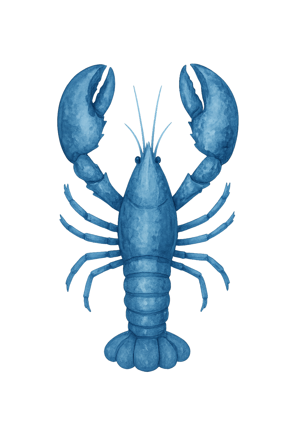 illustration of a blue. lobster