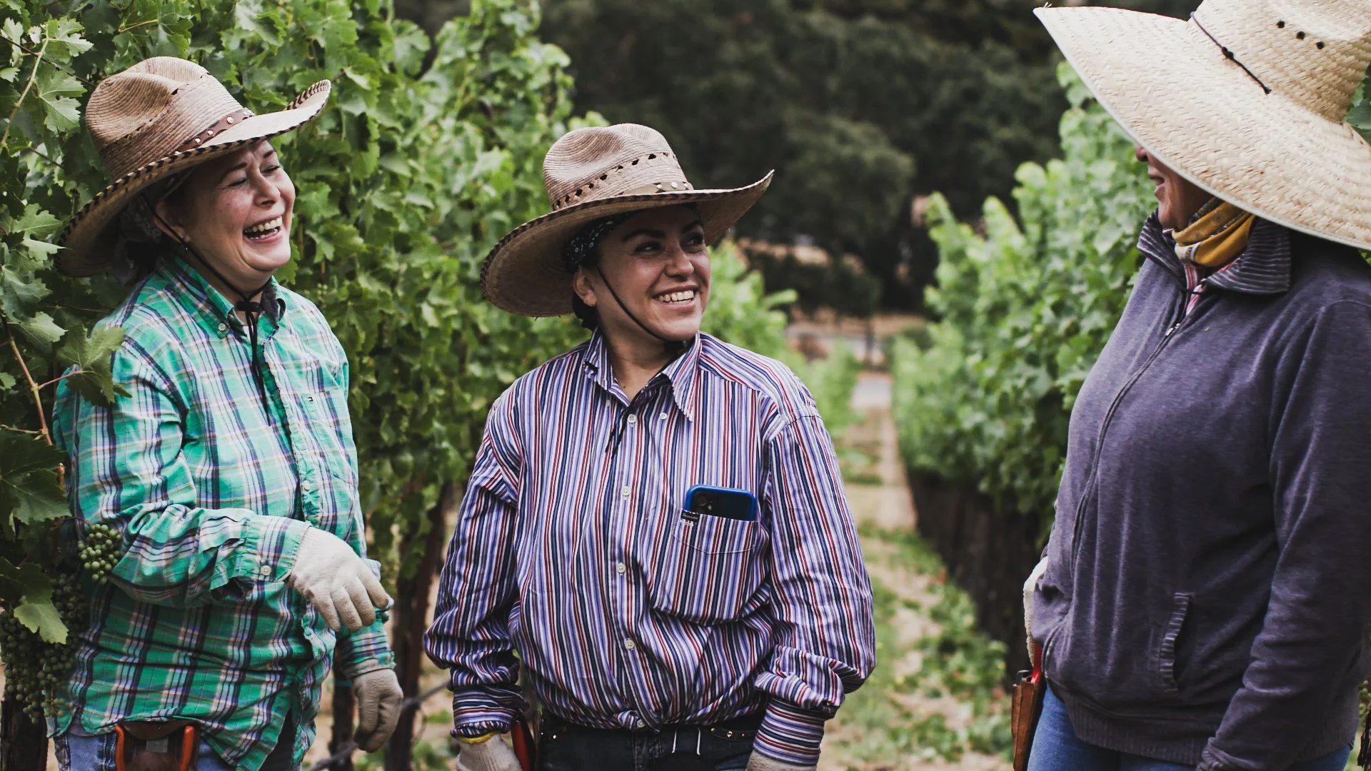 Three women wearing wide-brimmed hats and casual outdoor clothing, standing in a vineyard surrounded by green grapevines. They are smiling and engaging in conversation.