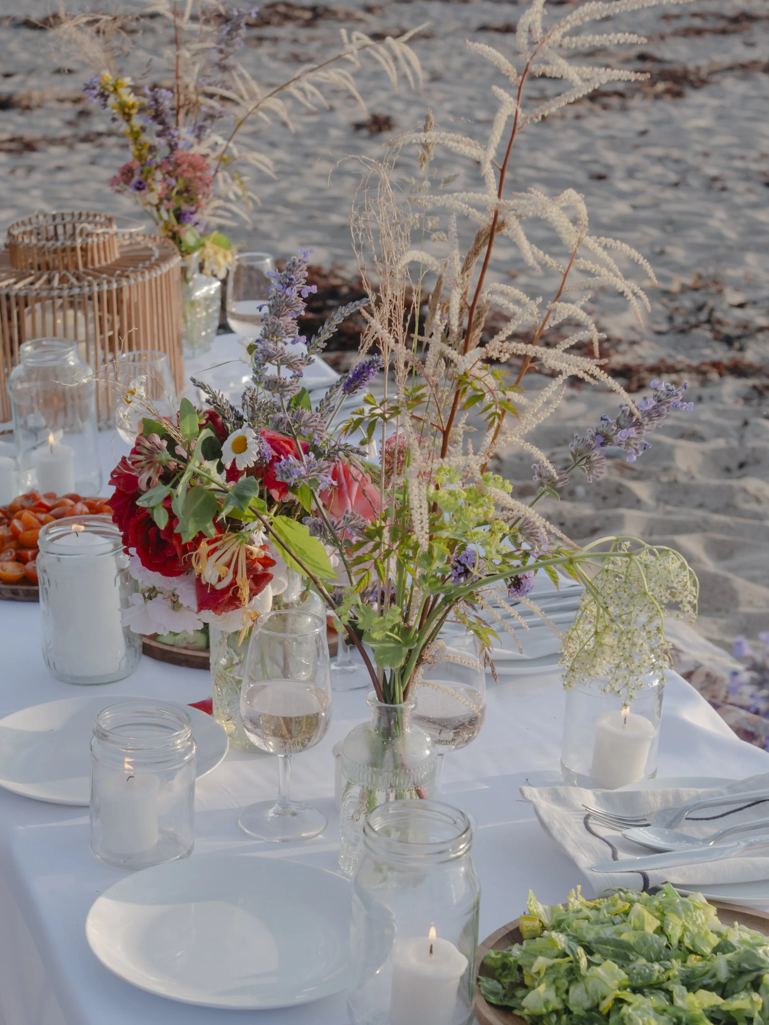 Copy of WILDSOL-072.jpg