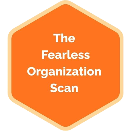 Orange hexagon badge with white text that reads 'The Fearless Organization Scan'.