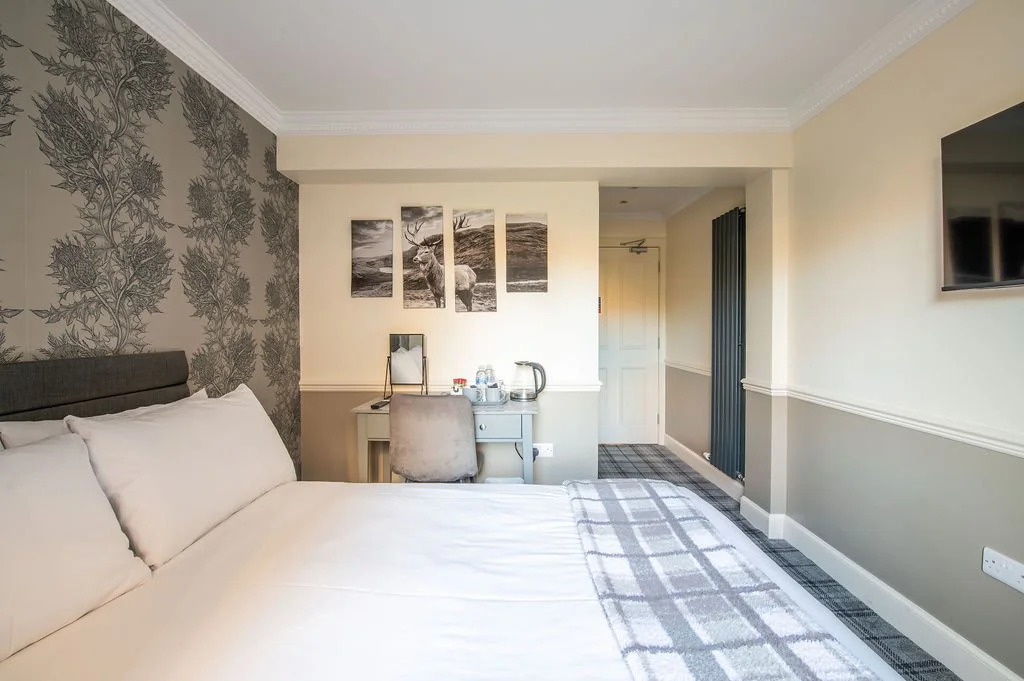 A hotel room with a bed, patterned wallpaper on one wall, a desk with a chair, beverage station, and a flat-screen TV on the wall.