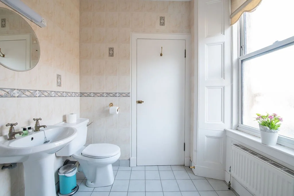 Bathroom with white sink, toilet, mirror, and window with a plant on the windowsill.