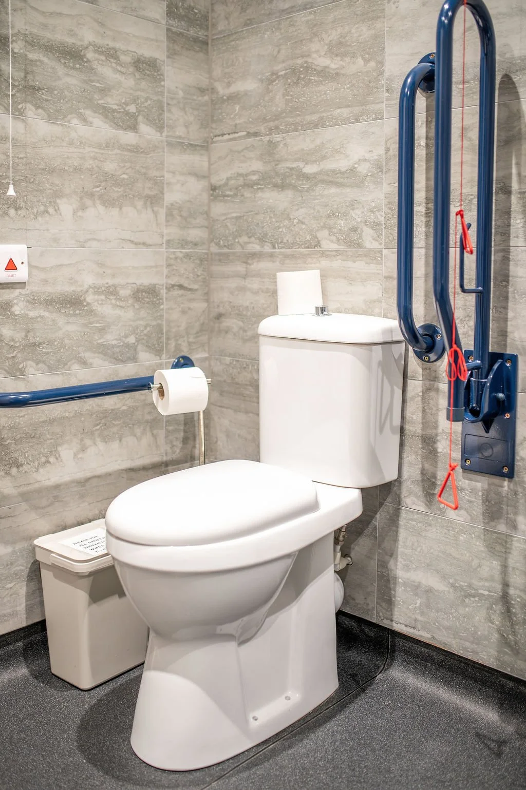 Accessible bathroom with a toilet, blue grab bars, and a toilet paper roll.