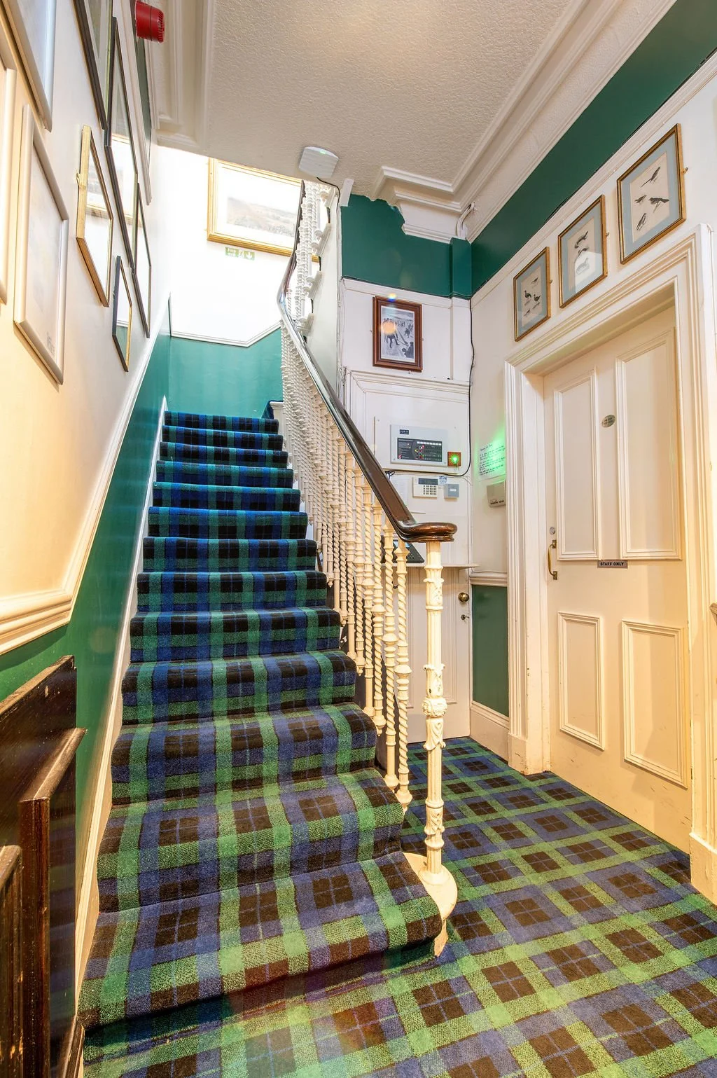 Interior of a building with a carpeted staircase, framed pictures on the wall, and a green and white color scheme.