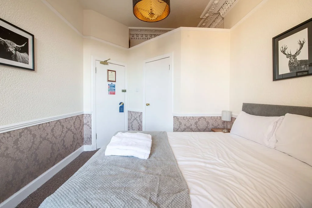 A hotel room with a bed, pillows, a nightstand with a lamp, and framed animal photos on the wall.