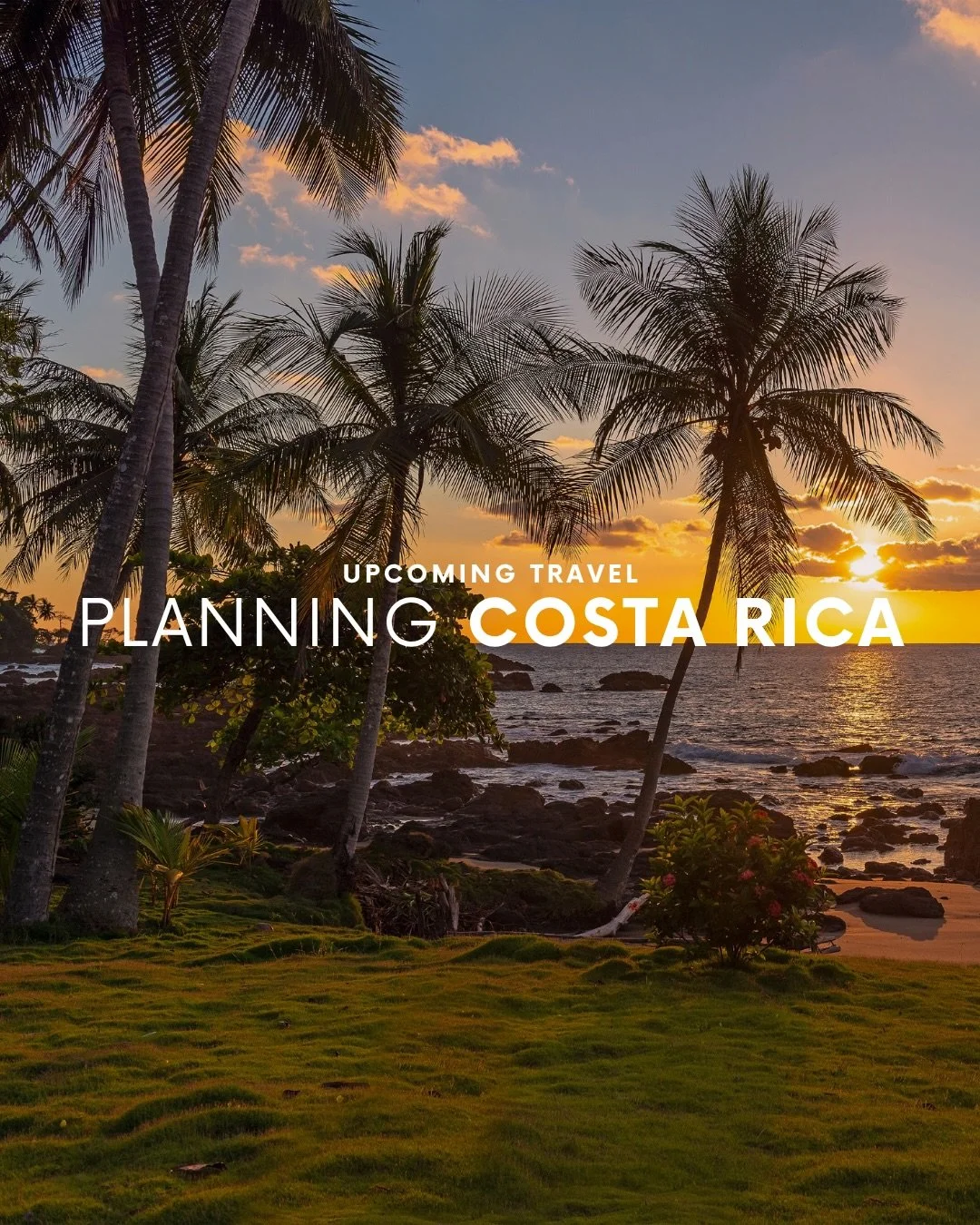Costa Rica was not on our immediate list of travel destinations until Snowmaggedon made us book some place warm real quick. 🌨️➡️🌿

We are heading to the rainforest and the coast, and I&rsquo;m sharing every detail of how this trip came together &md