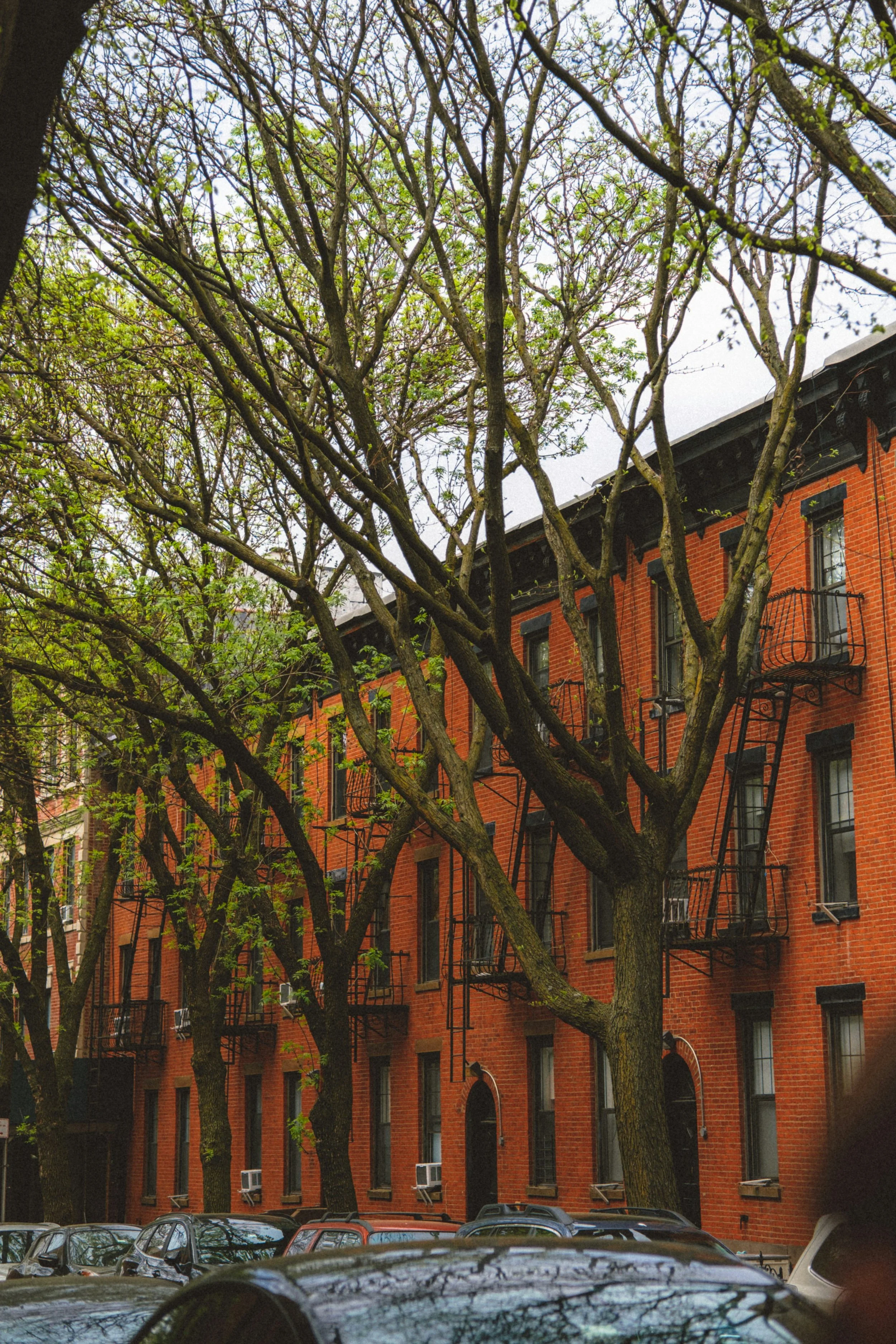 Park Slope Real Estate &amp; Neighborhood Guide