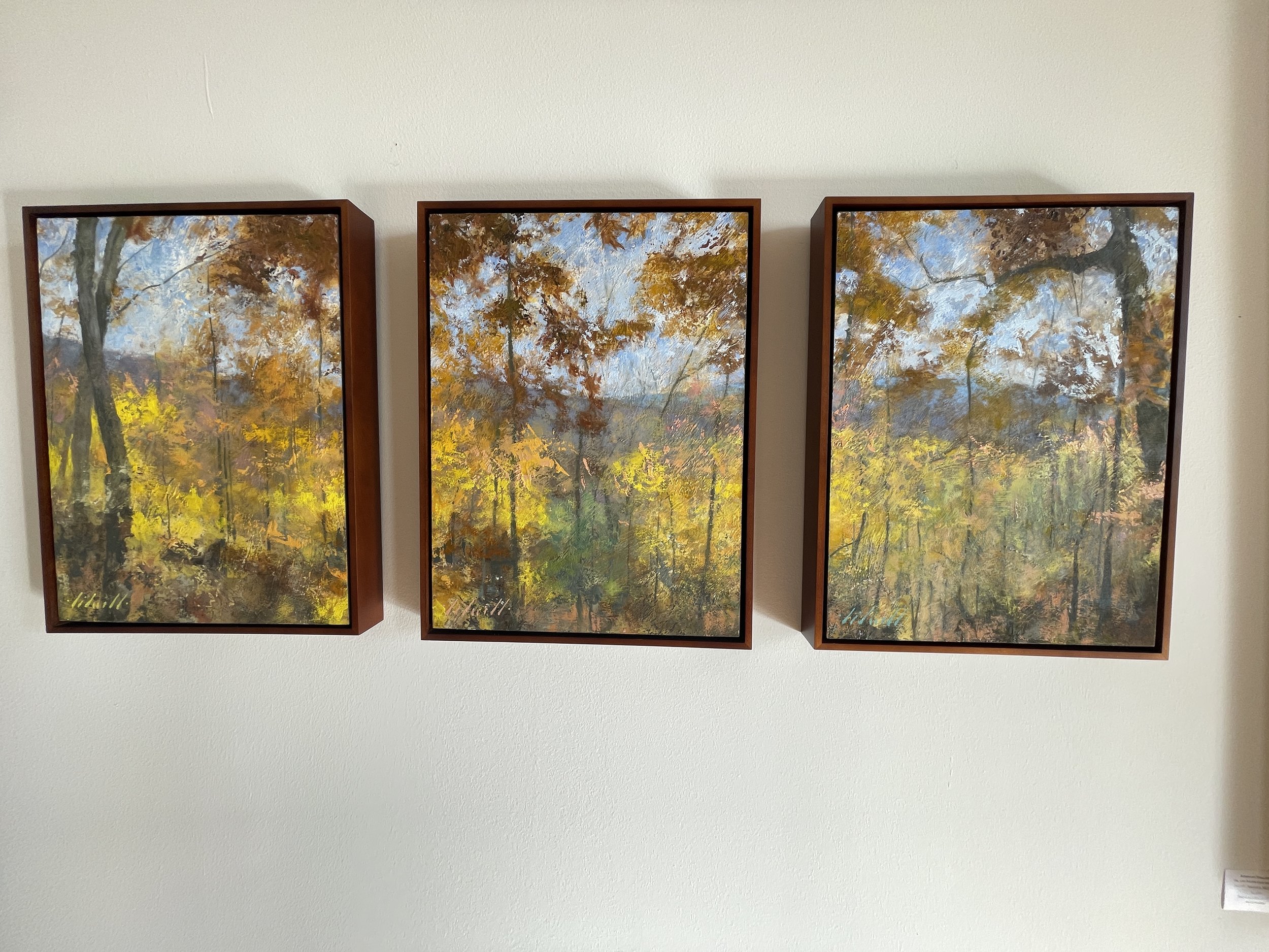 Fine Artist Jonathan Bidwell's original naturalistic realism artwork in a triptych that features the blue ridge mountains
