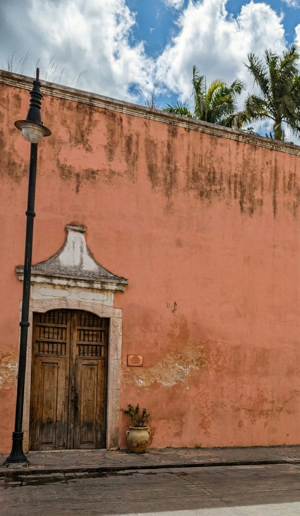 A pink wall with weathered paint, a wooden door with an ornate top, a streetlamp, a small plant in a pot, and palm trees against a cloudy sky.