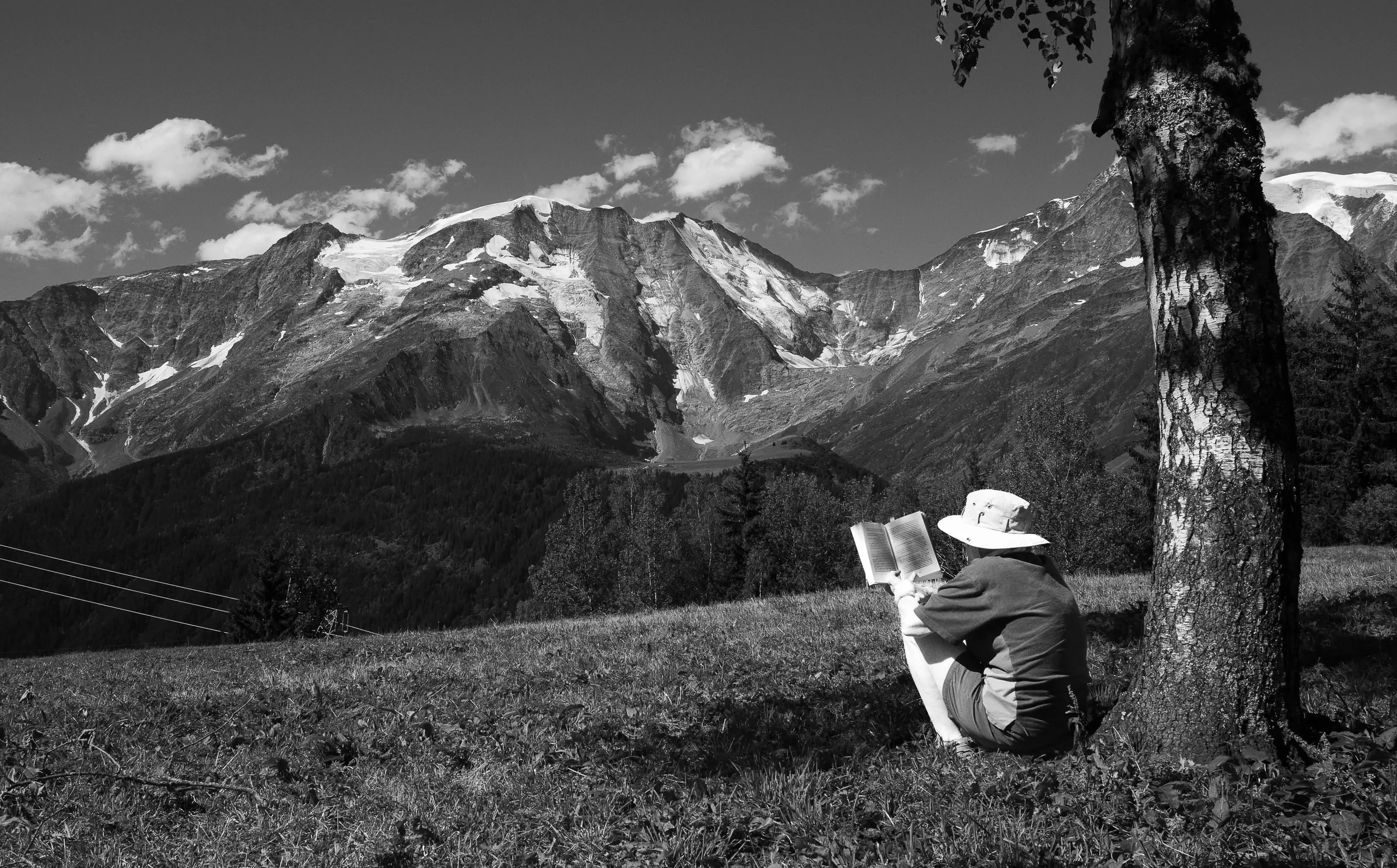 Une personne assise sur l'herbe, portant un chapeau, lisant un livre devant un paysage de montagnes enneigées, avec un arbre à droite et un ciel nuageux.