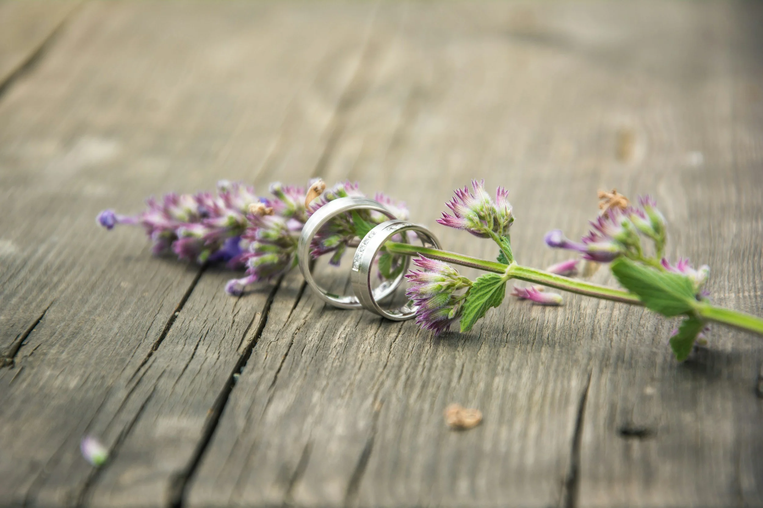 Silver wedding rings resting on purple and green flowers placed on wooden surface.