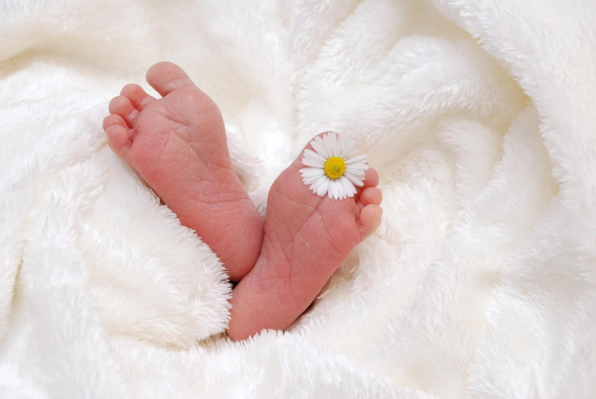 Close-up of a tiny baby foot with a small daisy flower resting on the toes, on a soft, fluffy white blanket.