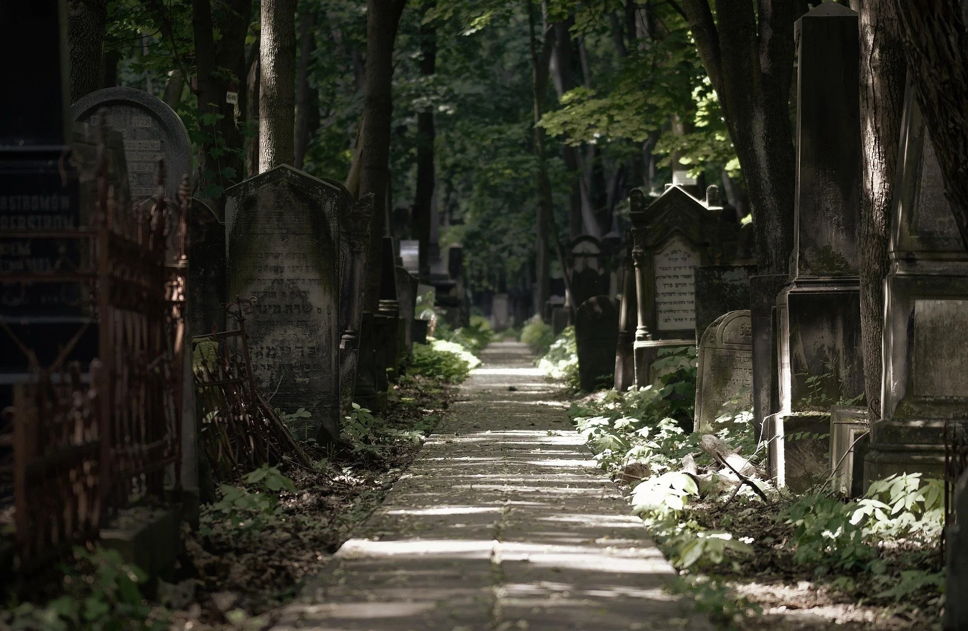 A narrow, overgrown pathway through a cemetery, flanked by weathered tombstones and tall trees, with sunlight filtering through the foliage.