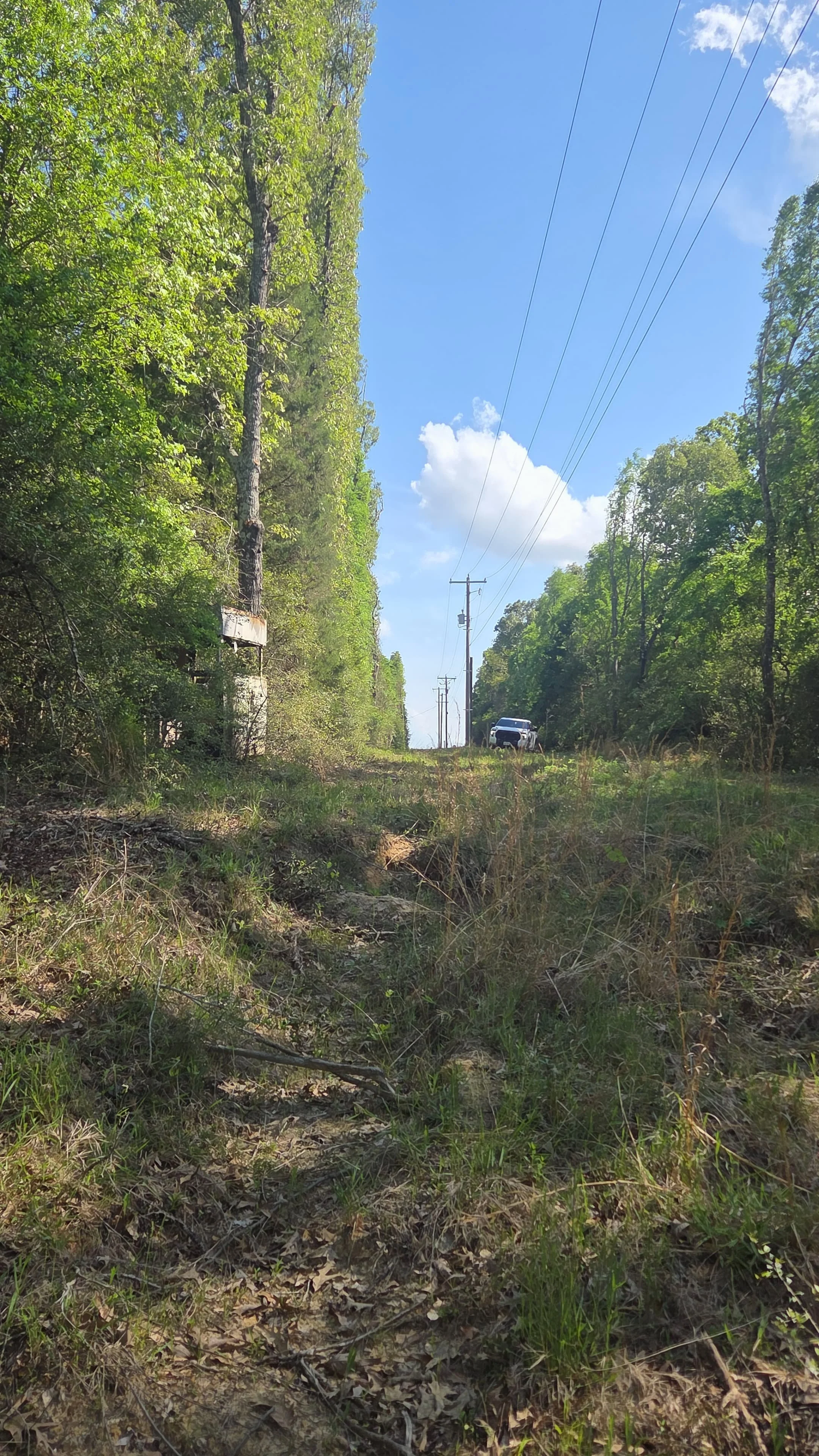Utility corridor bordered by trees, with overhead lines and a work vehicle.