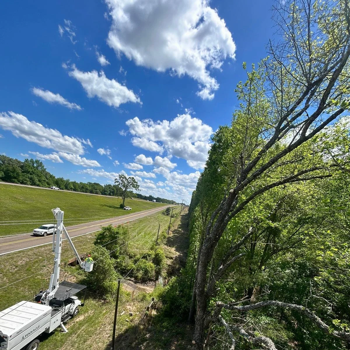 Bucket truck working beside a tree-lined road.