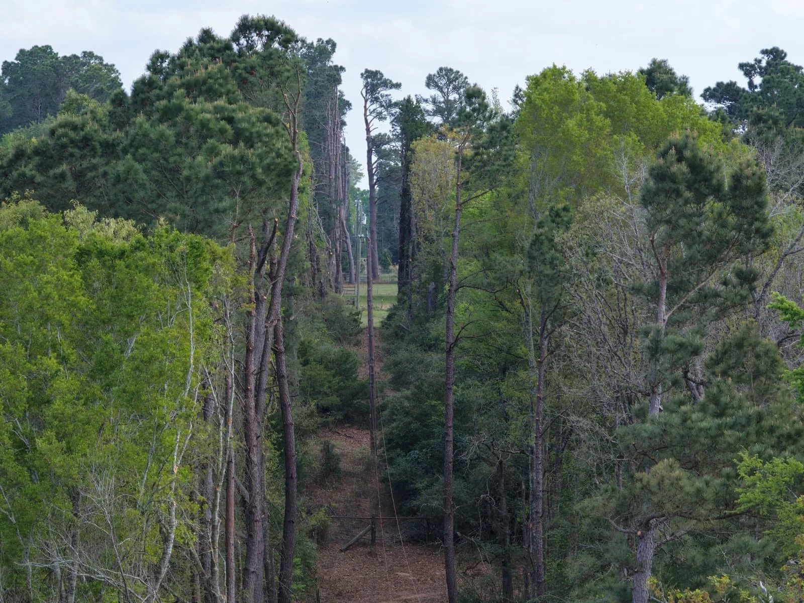 Closer aerial view along a tree-lined utility corridor.