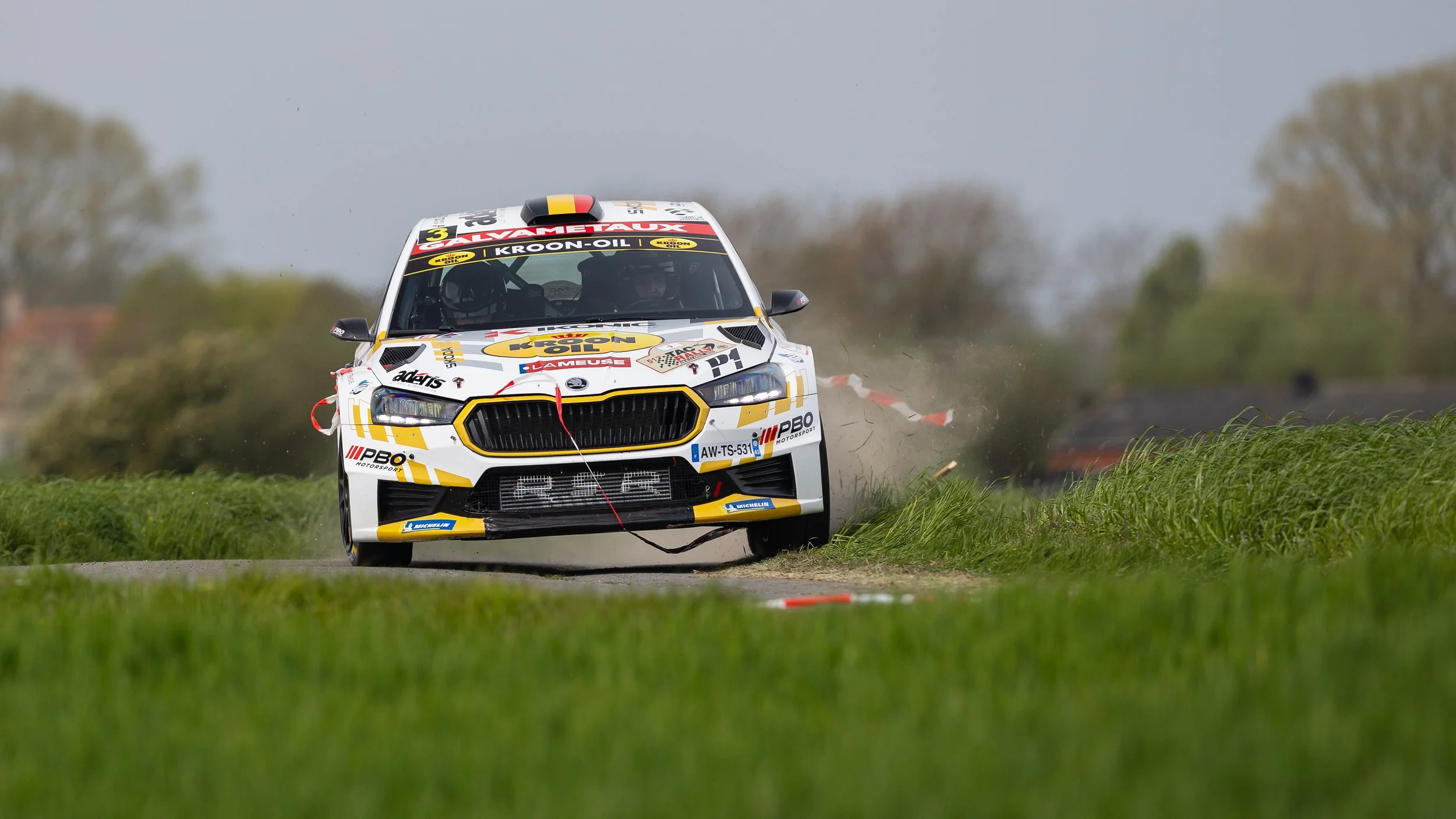 A rally car driving on a dirt road, kicking up dust and grass, with a landscape of trees in the background.