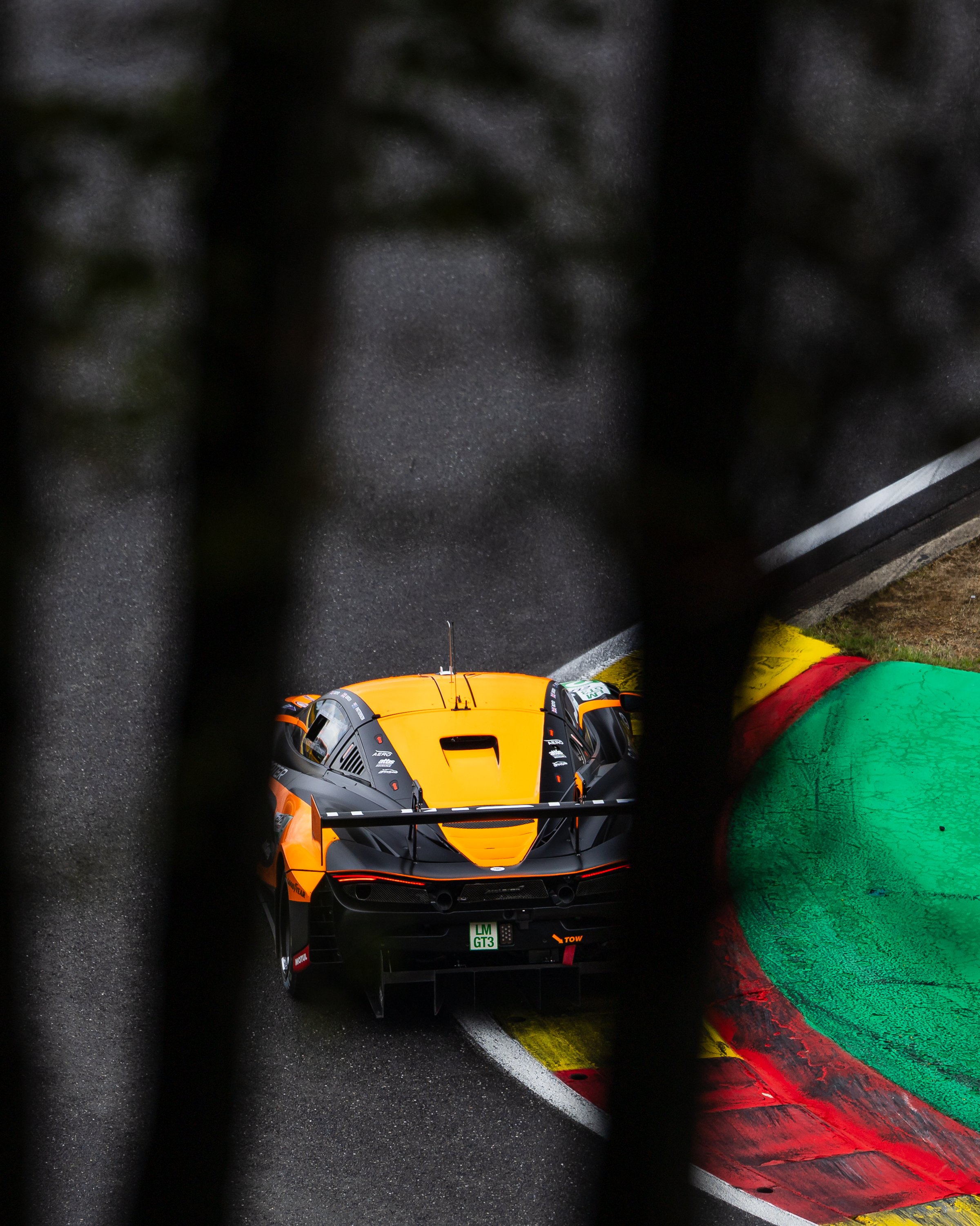 ELMS-Spa-album-16.jpg