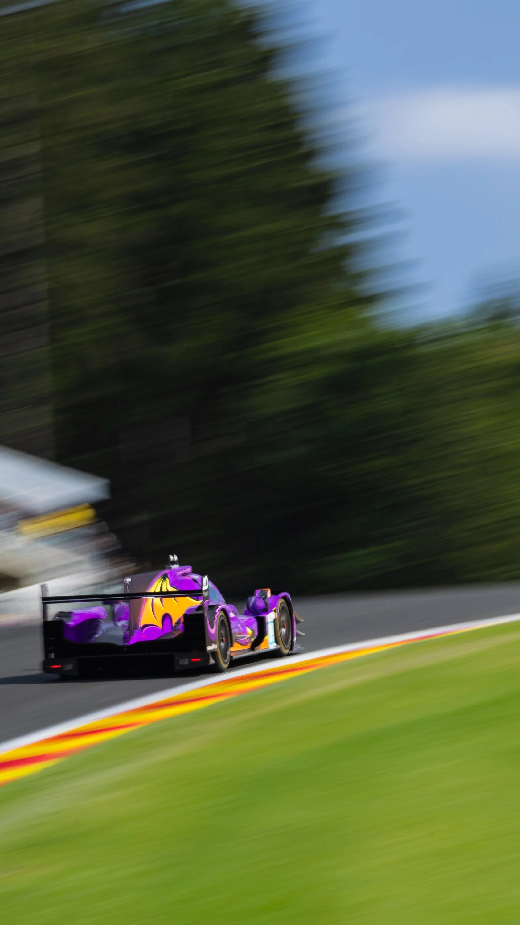 ELMS-Spa-album-10.jpg