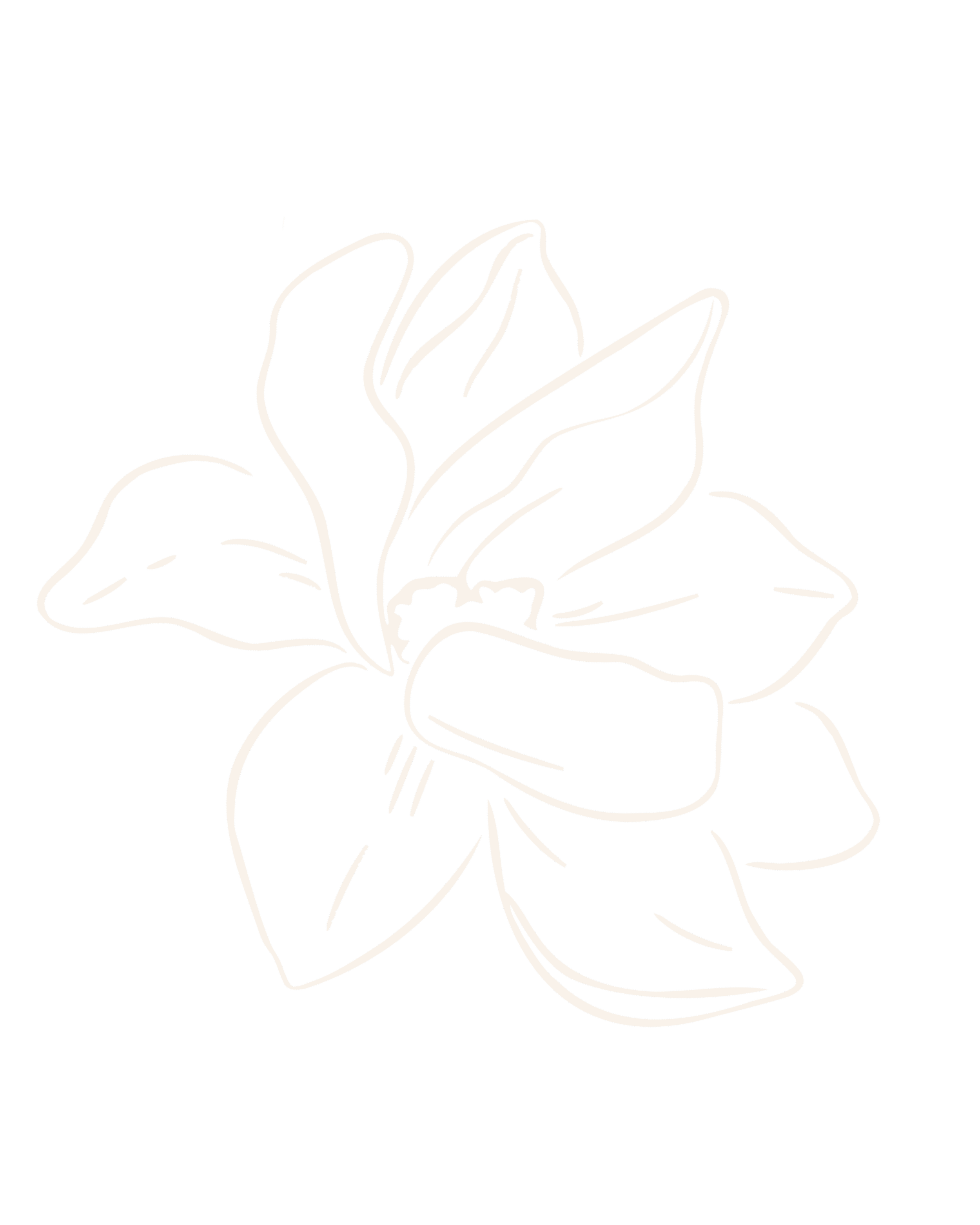 Line drawing of a flower with multiple large petals on a black background.