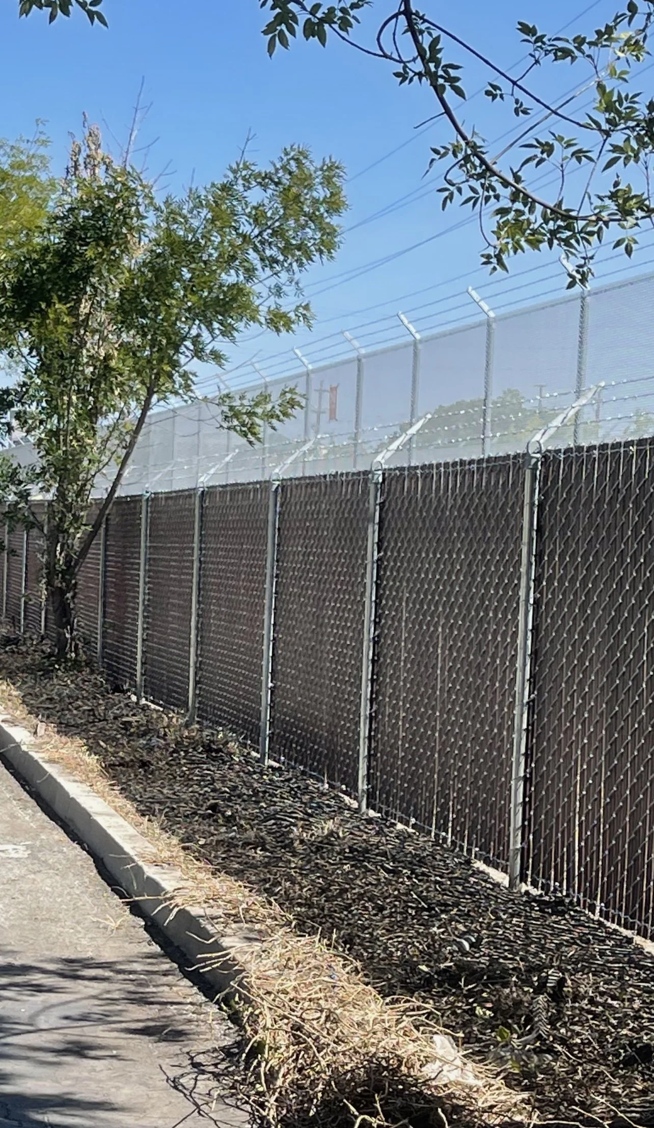 Commercial chain link privacy fence with anti-climb security extension and screening slats