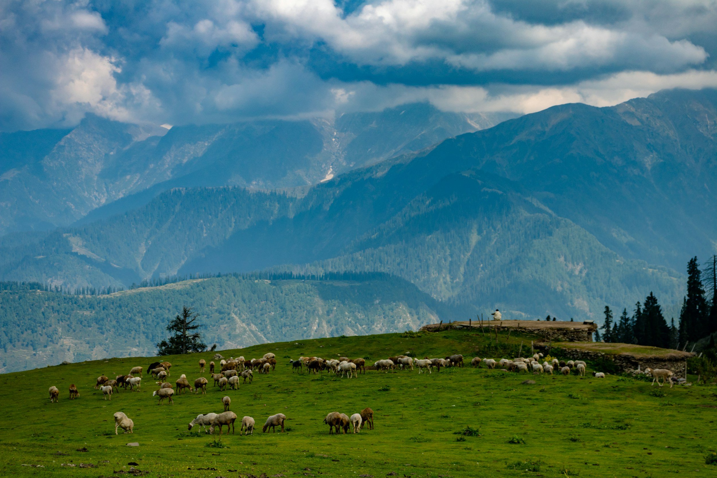 Sheep grazing on a lush green hillside with mountain ranges in the background and cloudy sky overhead.