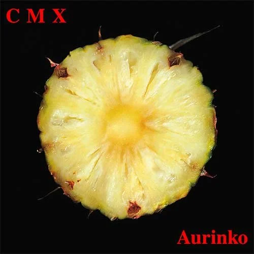 CMX Aurinko