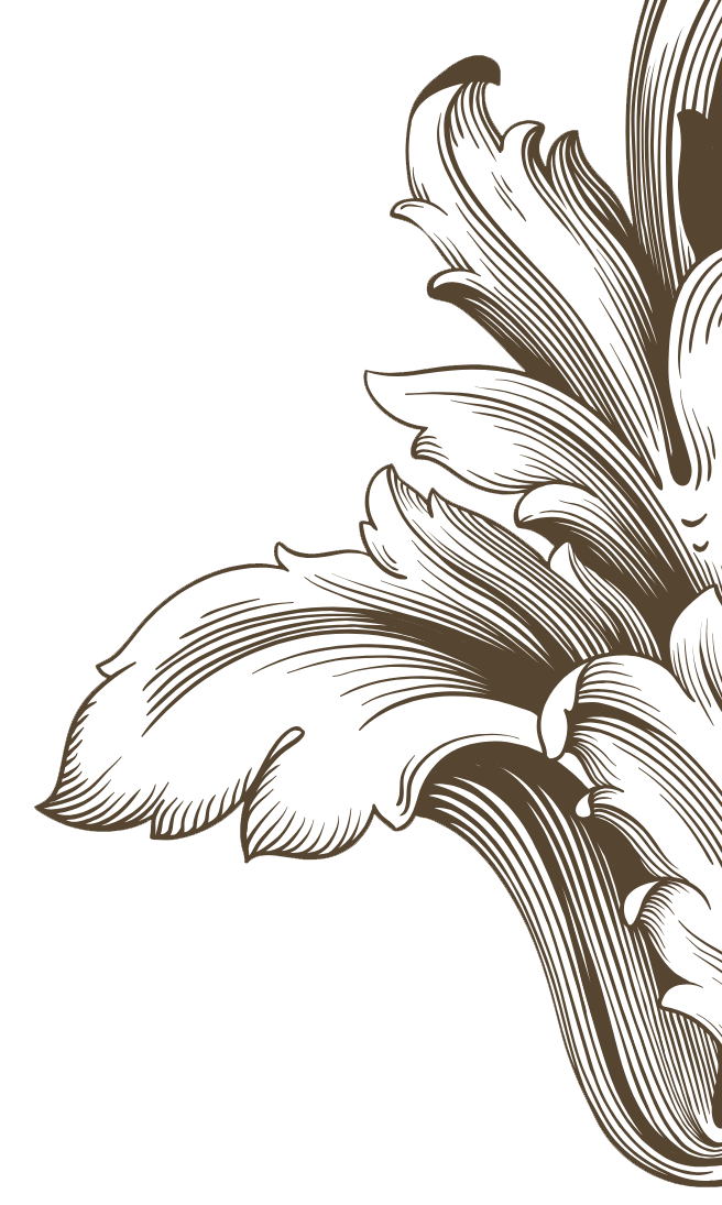 Detailed, monochromatic illustration of a stylized floral design with large, flowing petals and leaves.