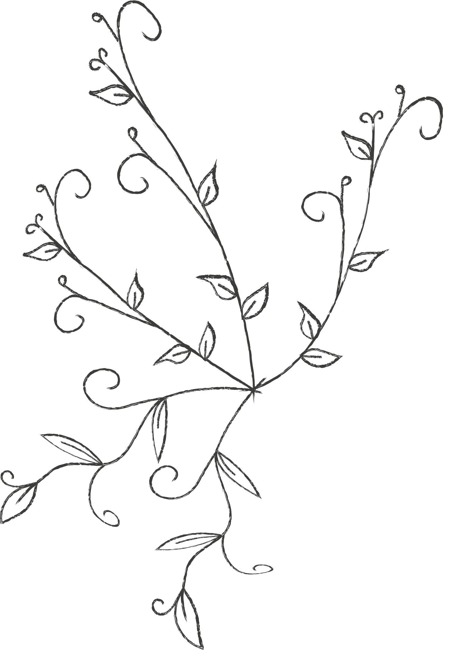 An ornate, black-and-white, floral line drawing featuring swirling vines and leaves against a black background.