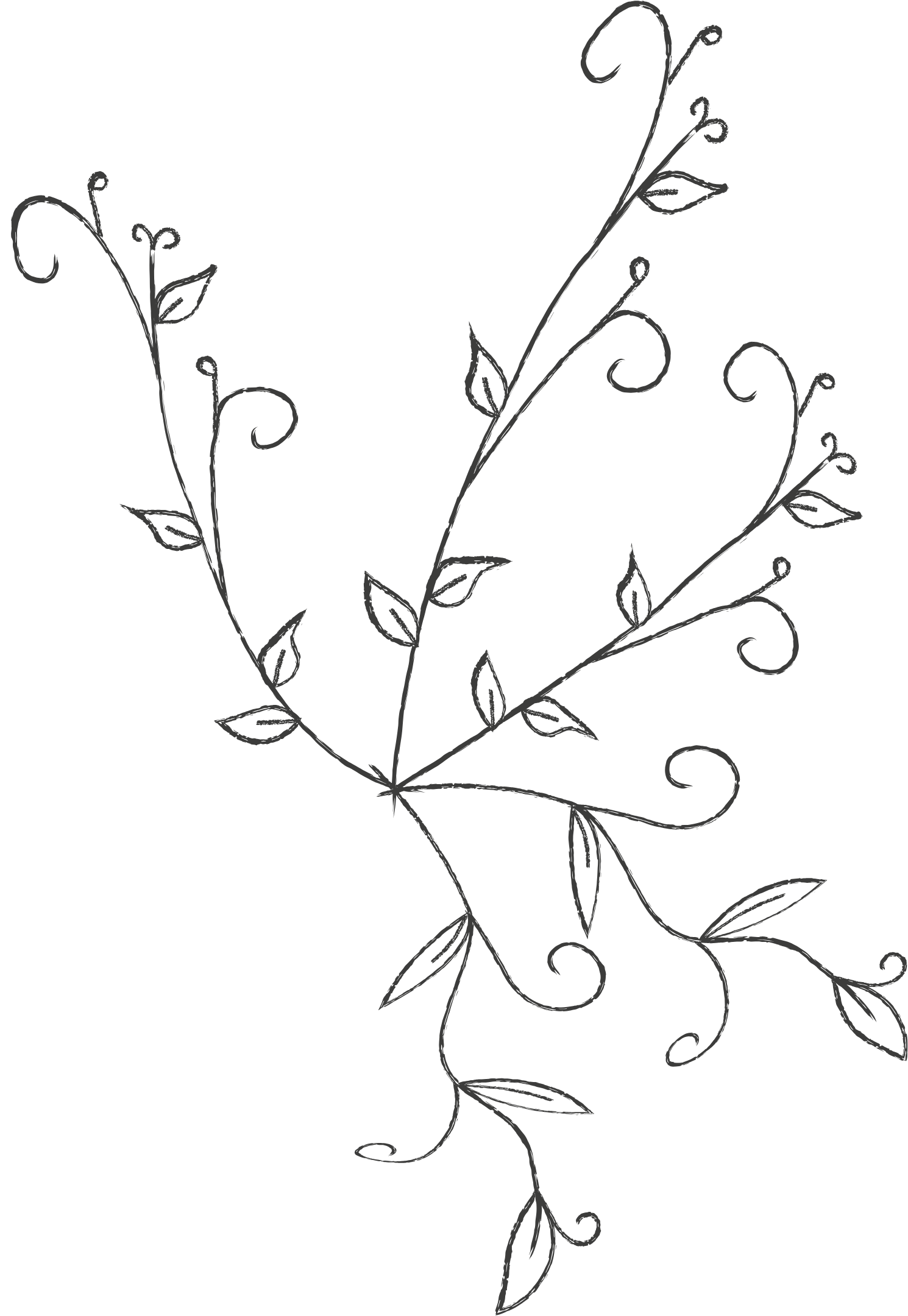 Outline drawing of a sprig with swirling vines, small leaves, and tiny buds on a black background.