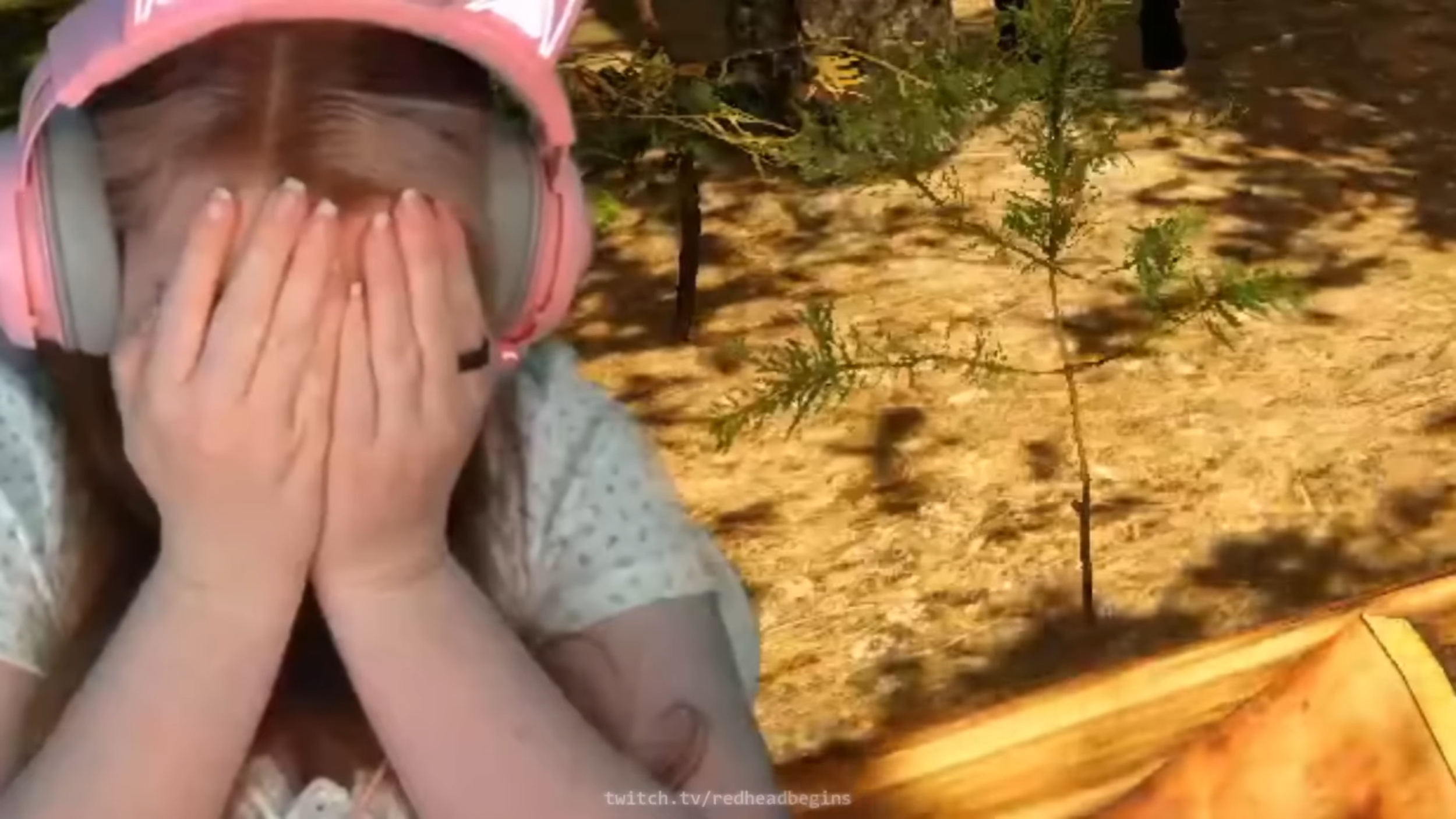 4.PNG
