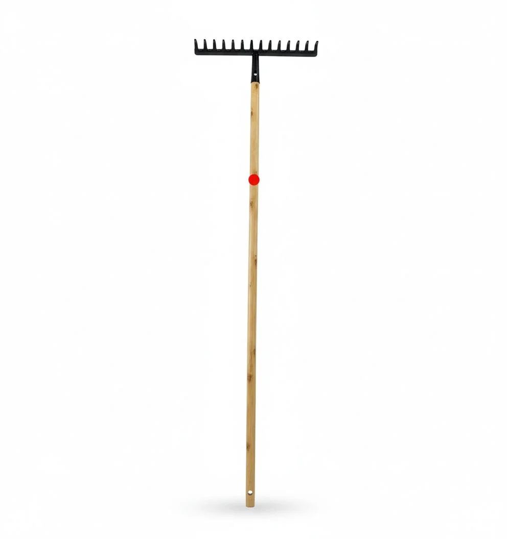 WhatsApp Image 2026-02-20 at 16.27.57 (1).jpeg