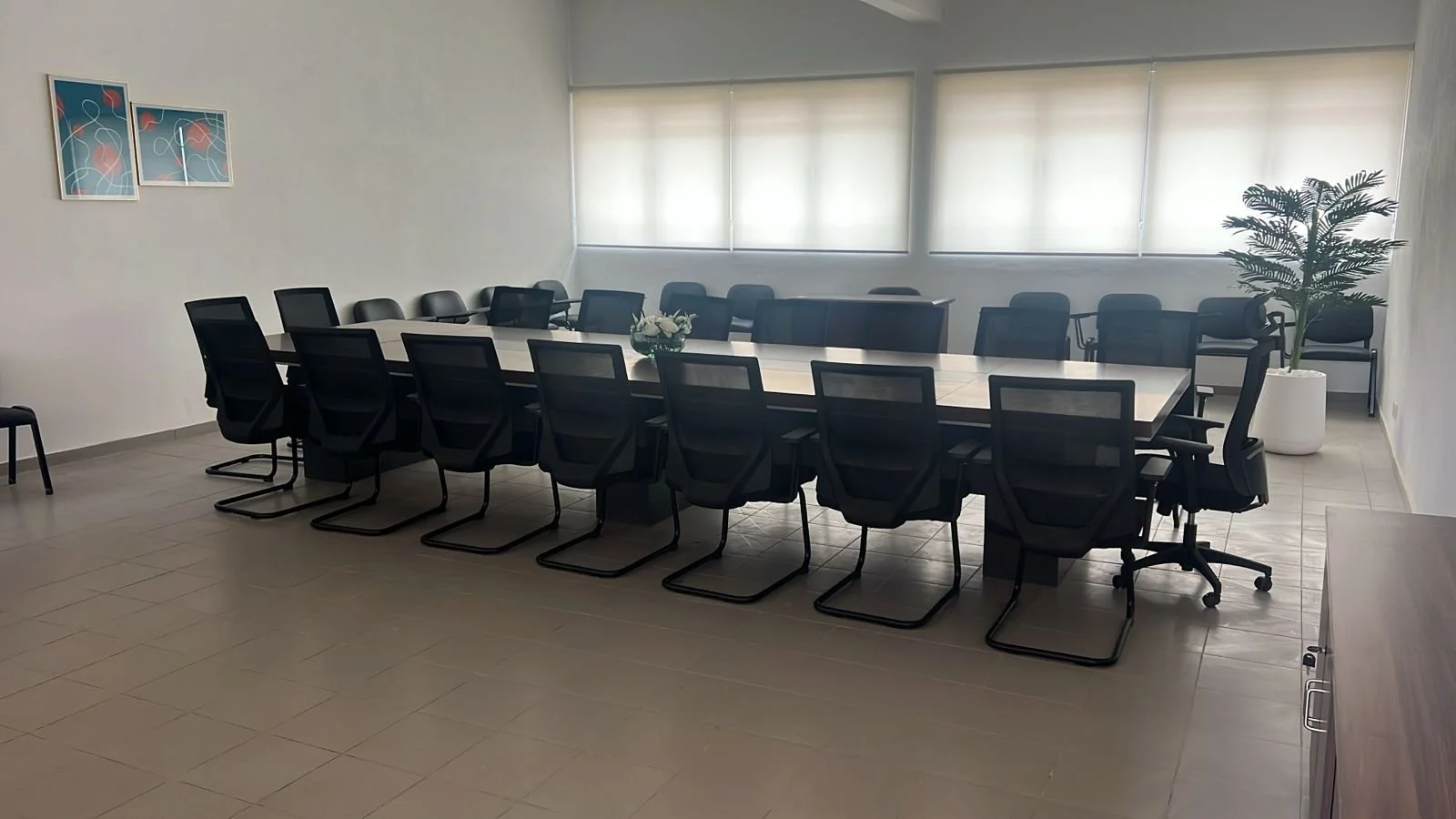 WhatsApp Image 2026-02-20 at 15.40.10 (1).jpeg