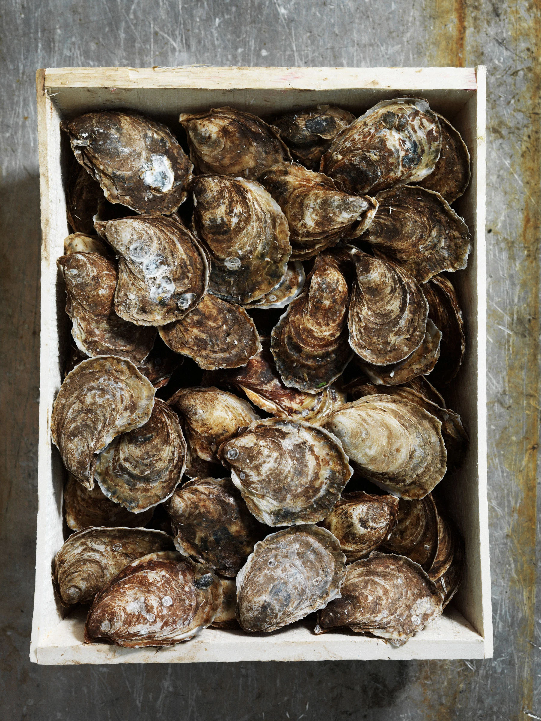 Colman Andrews The Daily Meal