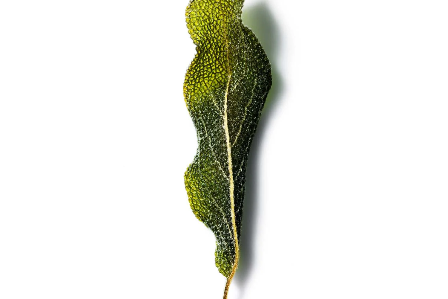 TF_Fresh_-_John_Lee_Pictures (1)_Page_31.jpg