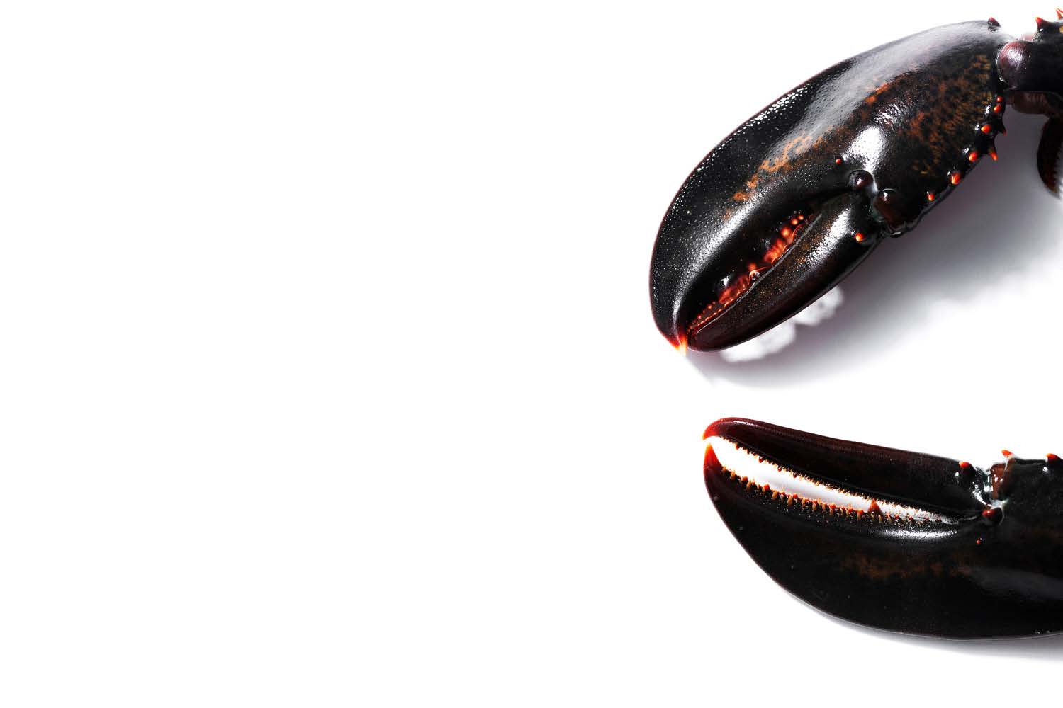 TF_Fresh_-_John_Lee_Pictures (1)_Page_08.jpg