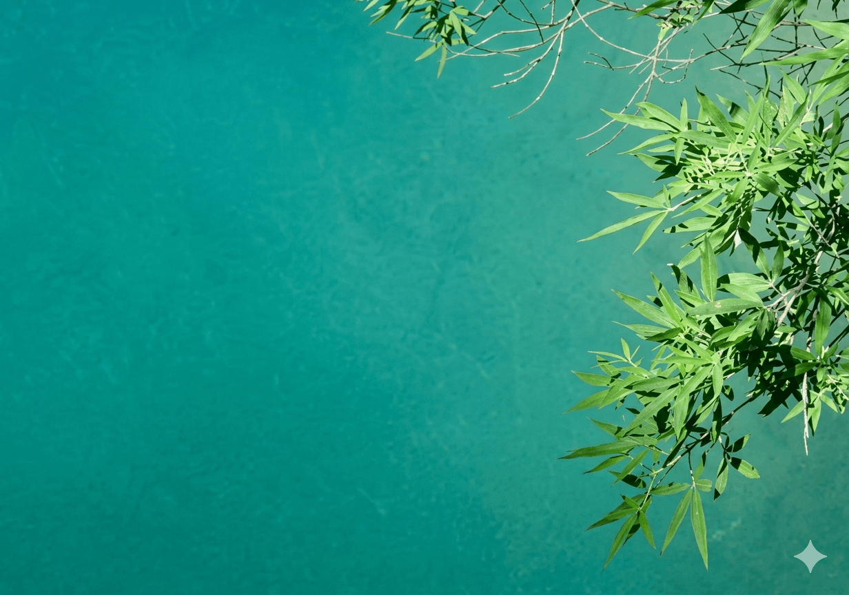 Green leaves on tree branches over a teal background.