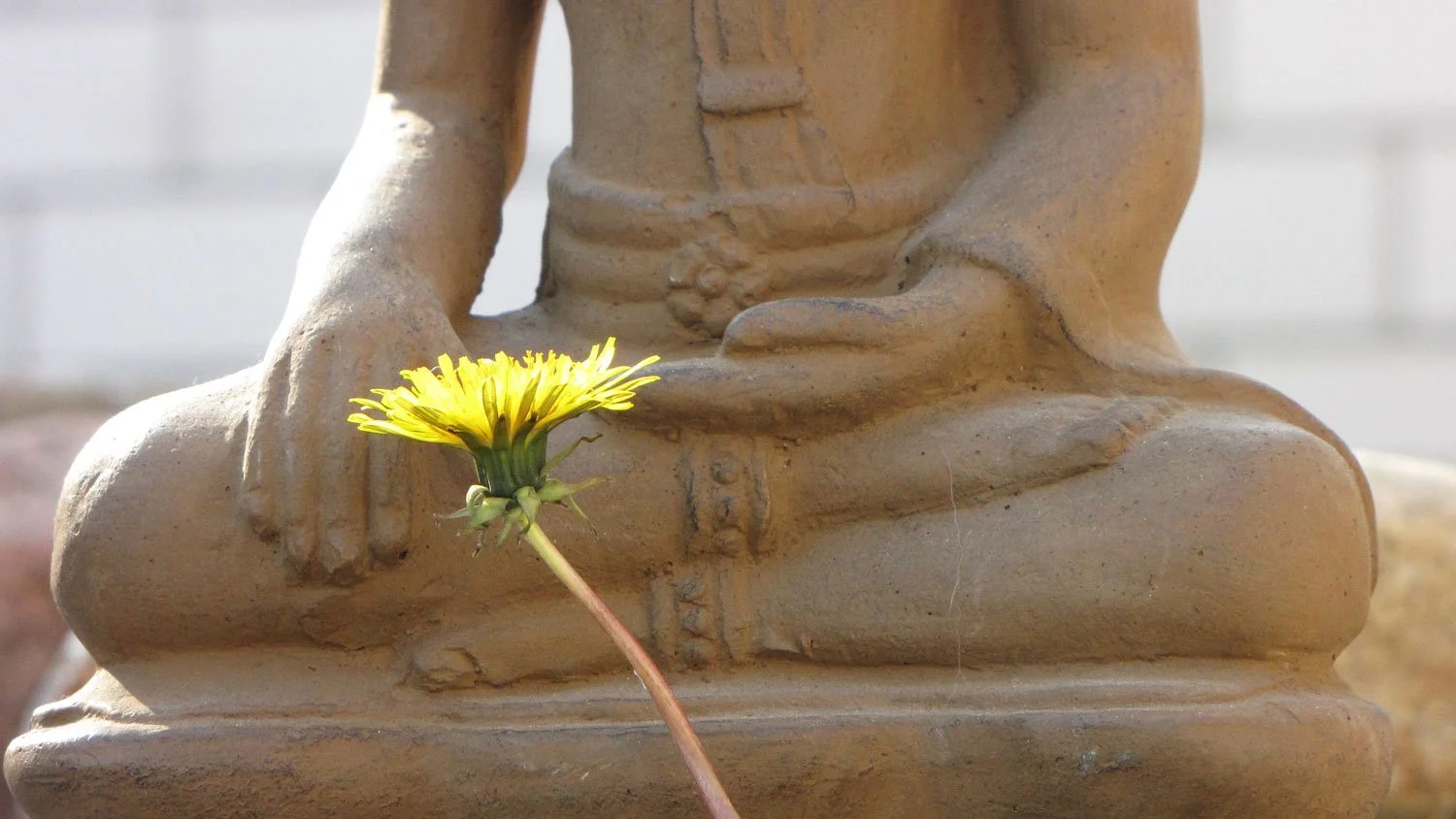 Close-up of a yellow flower resting against the base of a tan sculpture of a seated person, with part of the person's torso and arm visible.