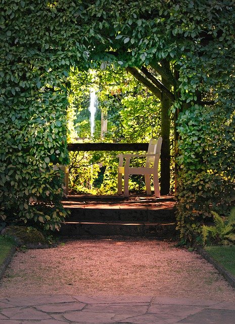 A white wooden bench on a wooden platform framed by lush green foliage and trees, with sunlight filtering through