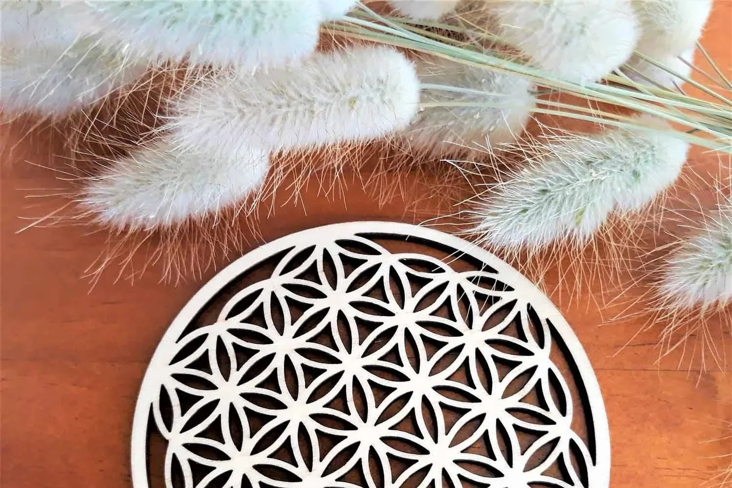Close-up of fluffy white bunny tail, fur, and grass, with a decorative white geometric cut-out circle on a wooden surface.