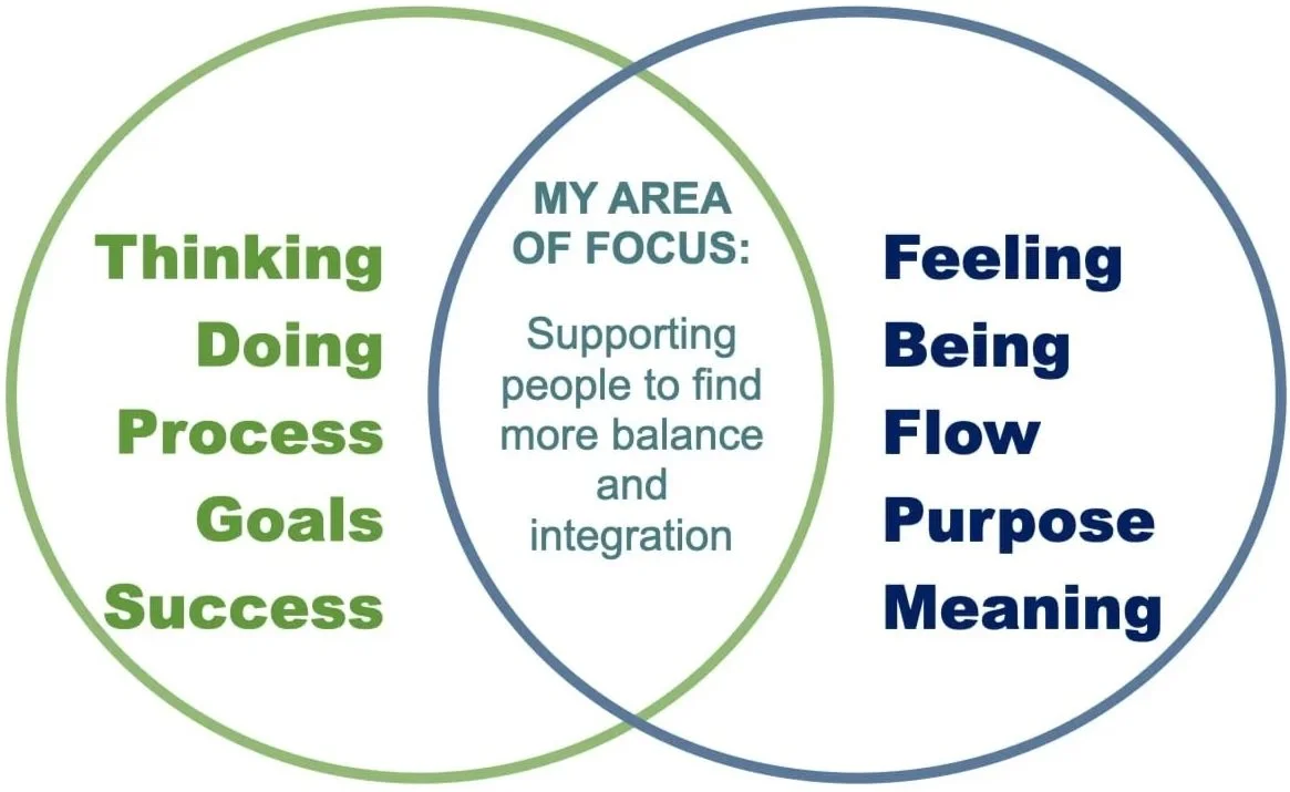 A Venn diagram with two circles. The left circle is titled "Thinking Doing Process Goals Success" in green. The right circle is titled "Feeling Being Flow Purpose Meaning" in blue. The intersection is labeled "My area of focus: supporting people to find more balance and integration".
