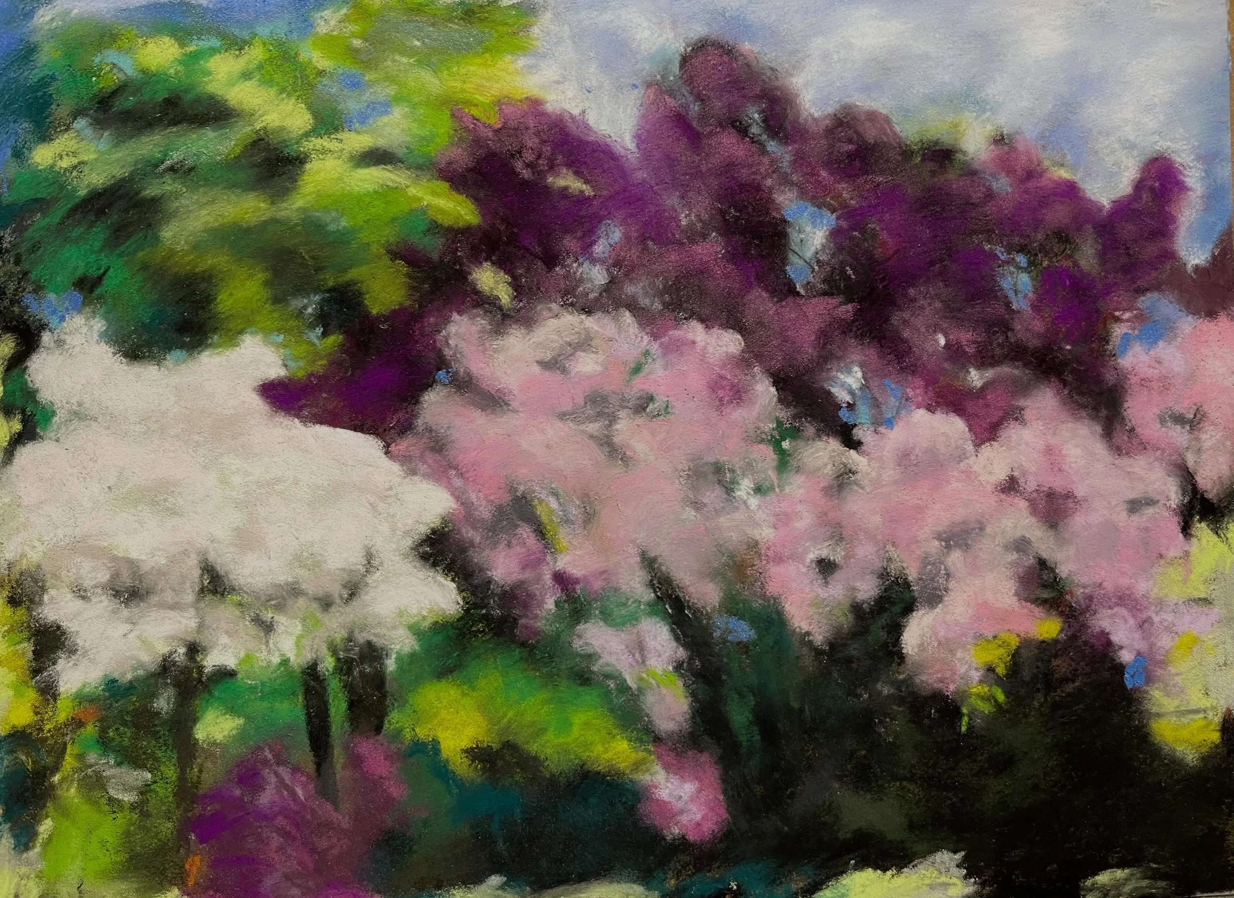 #Spring Trees #Observatory Park #soft pastel #Pittsburgh landscape