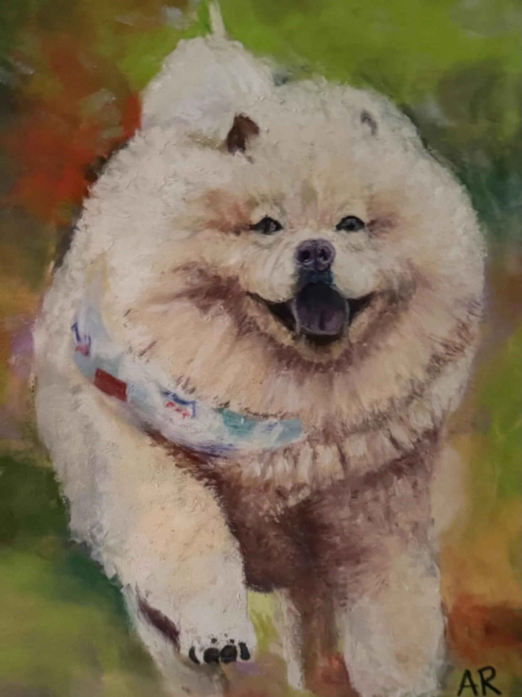 Nova 

#softpastel #petportraits #amyrubyart #commisionedart