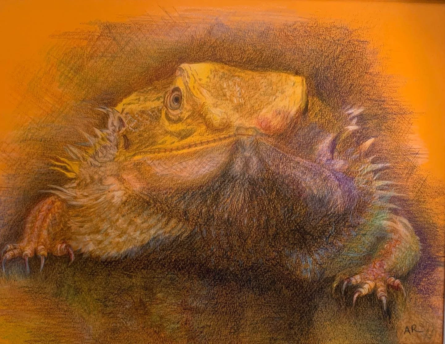 #beardeddragon #coloredpencils #exoticpetdrawing