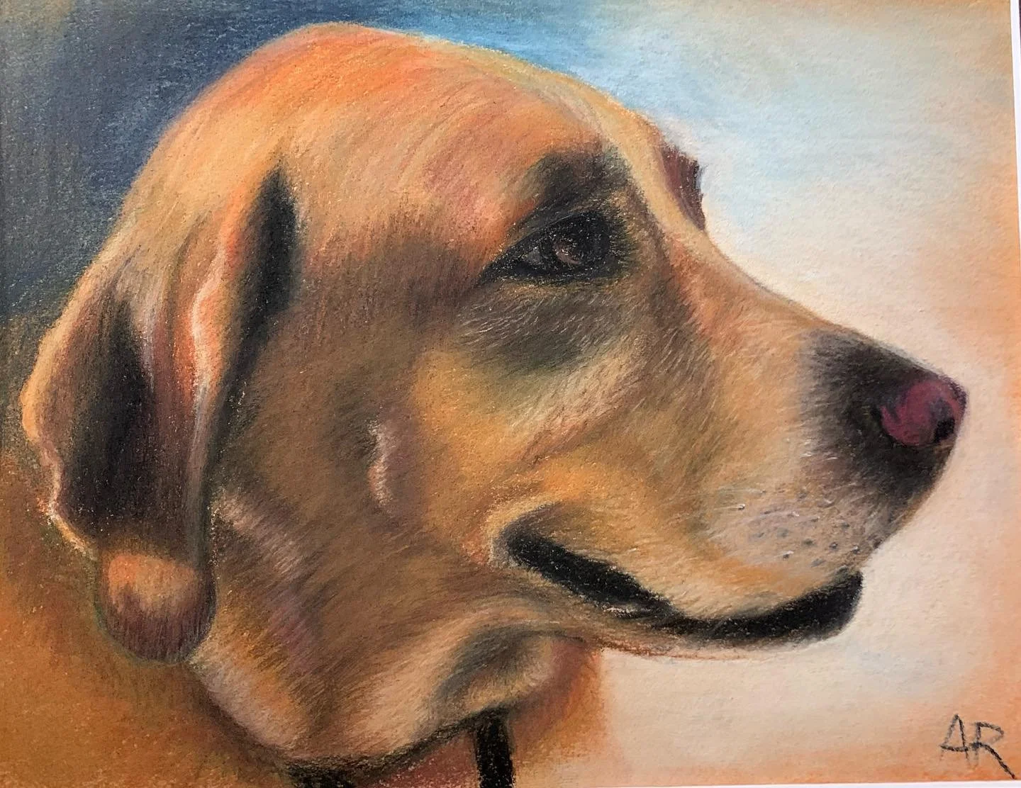 #petportraits #pastelpainting #dogportrait