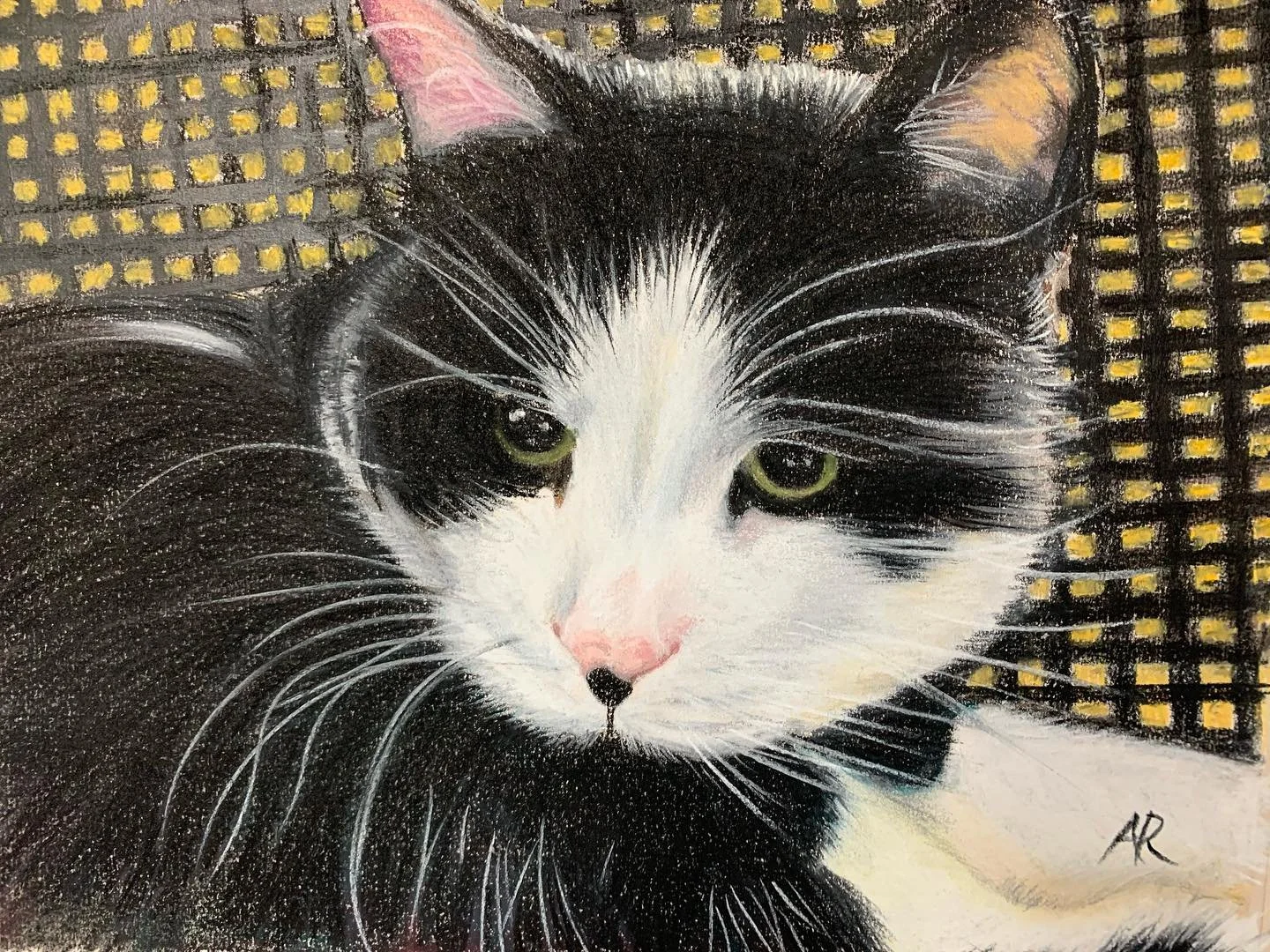 #catdrawing#pastelpainting#petportraits