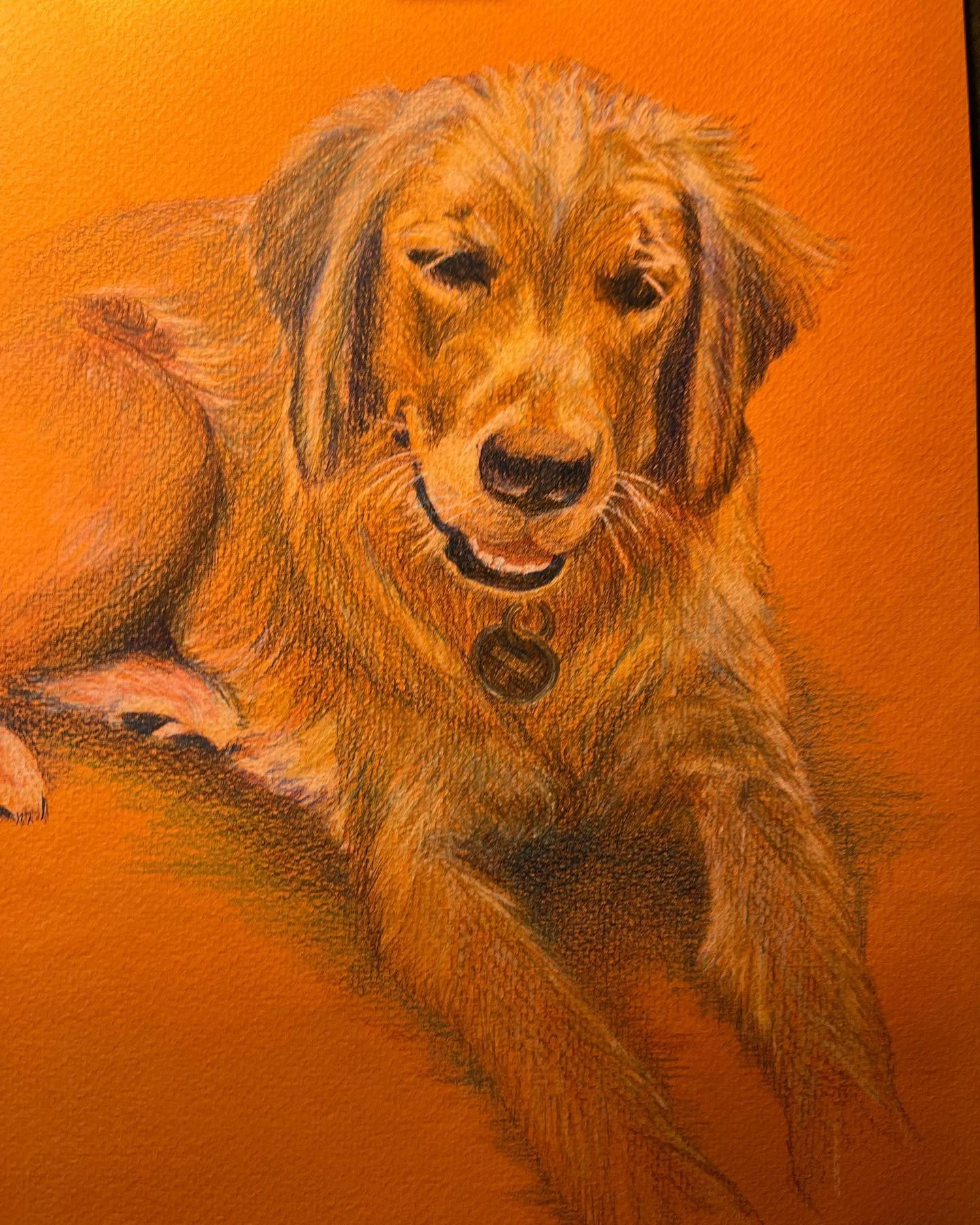 #coloredpencil#drawing#petportraits