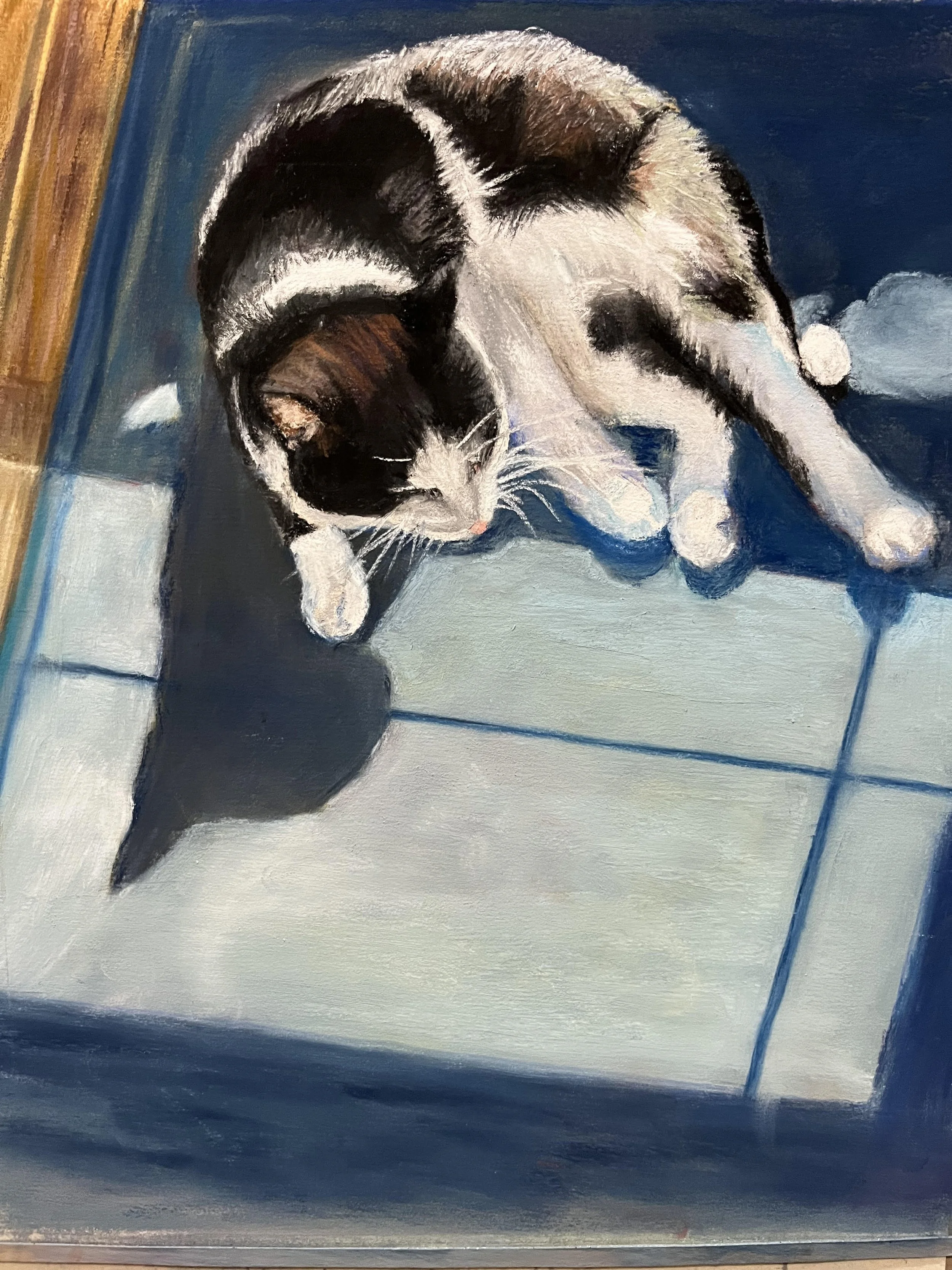 Quinn in window.jpg