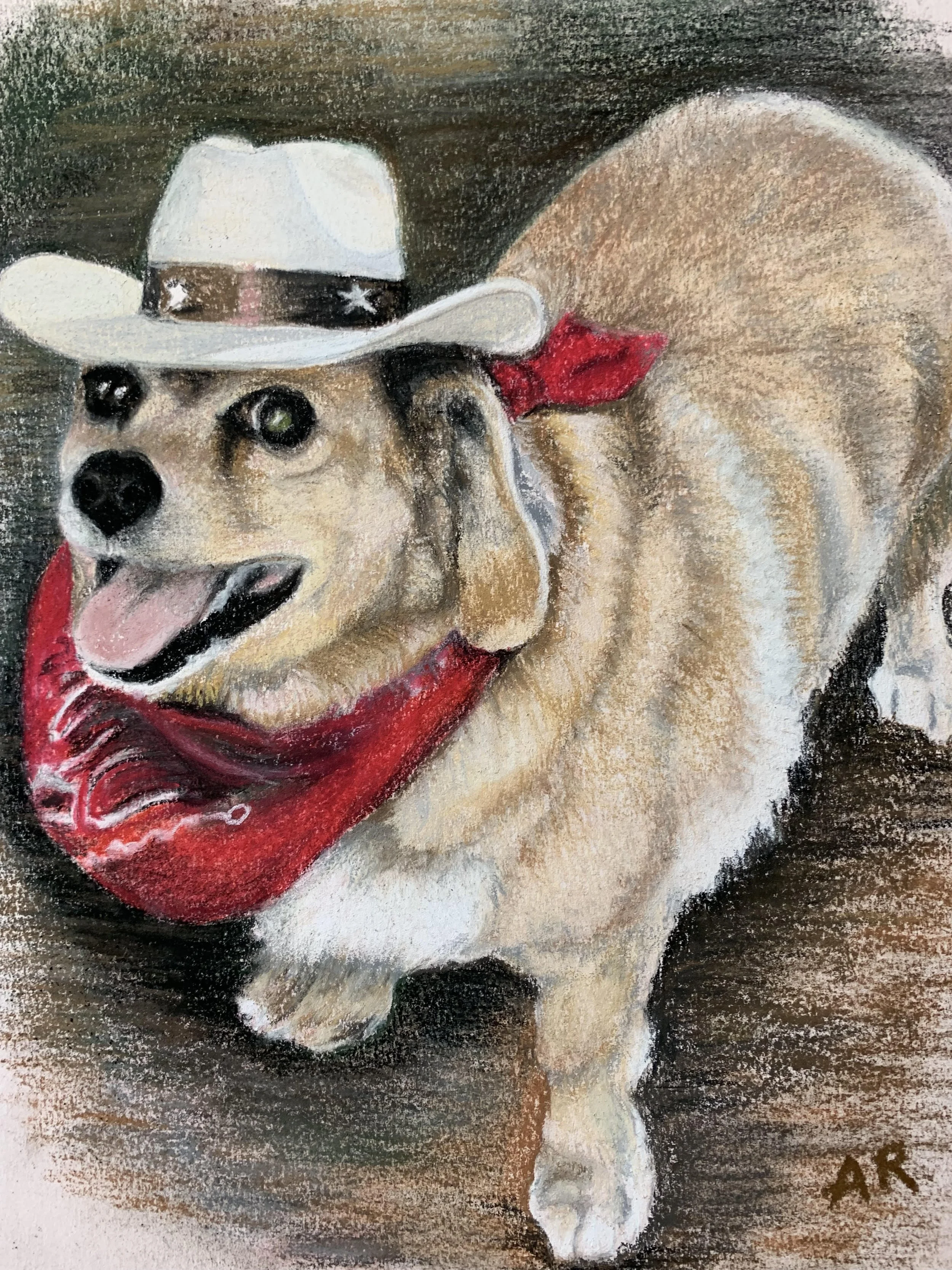 Pet.jpg